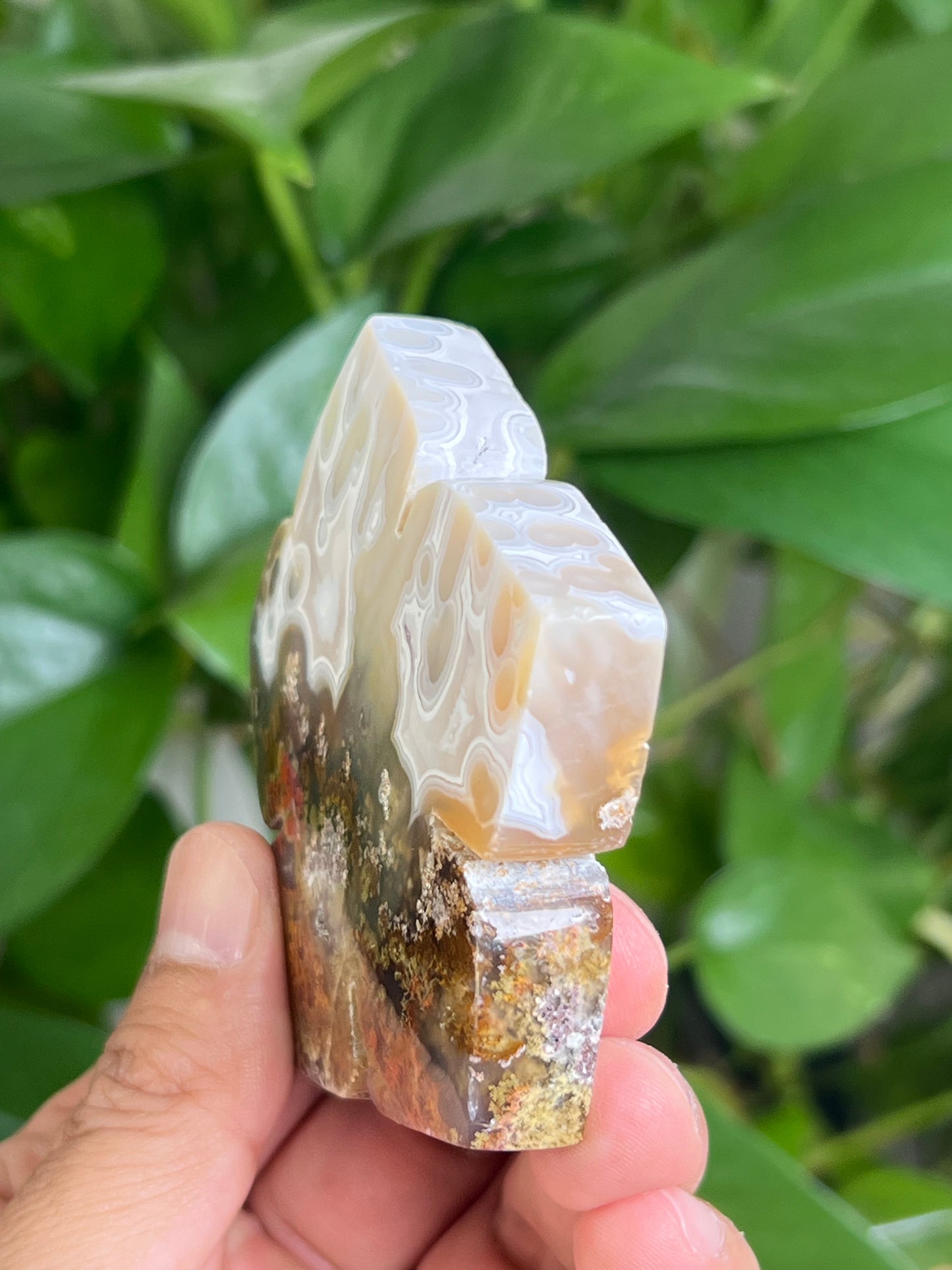 Scenic Moss Agate Flower HB