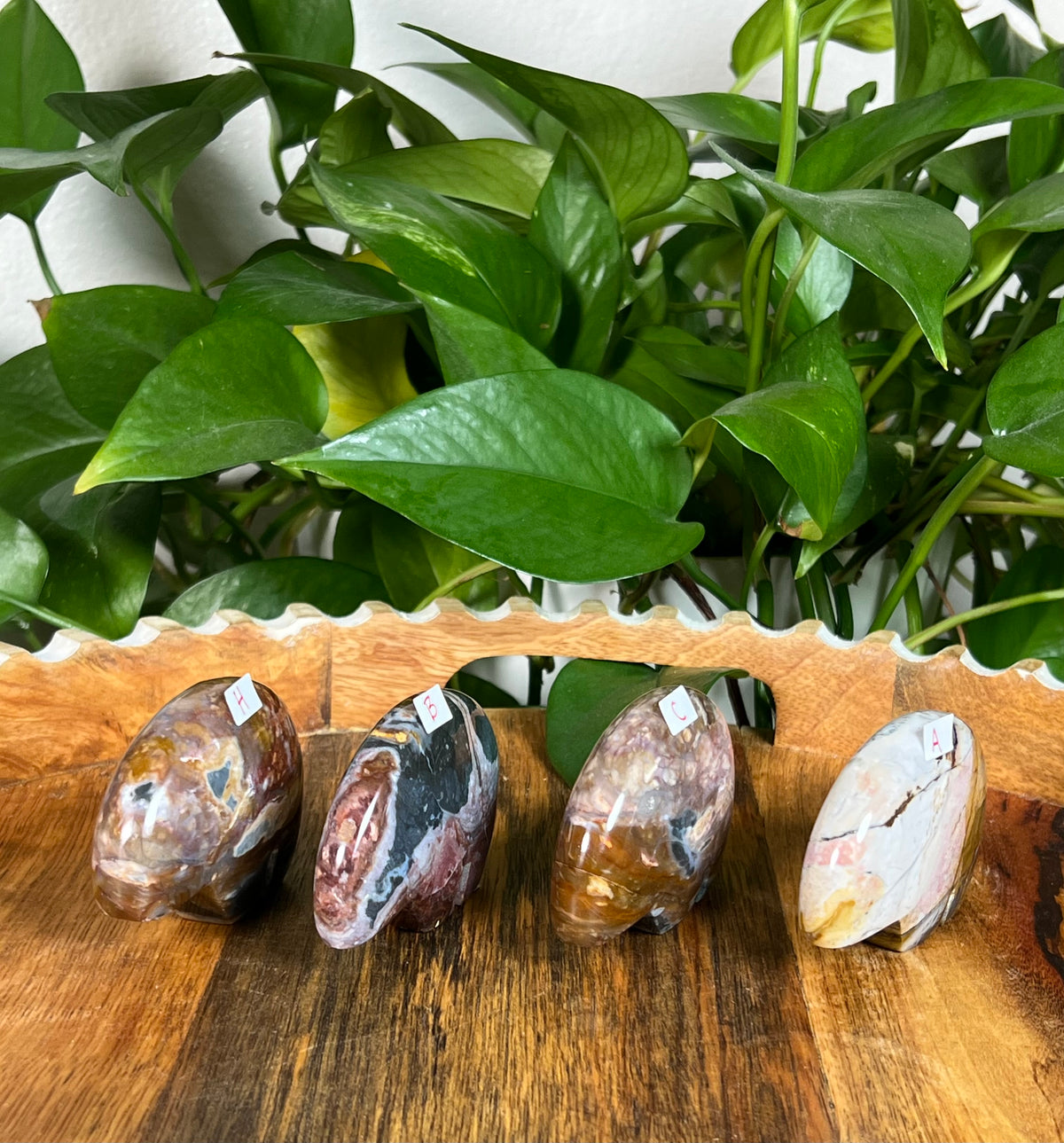 River Jasper Bears