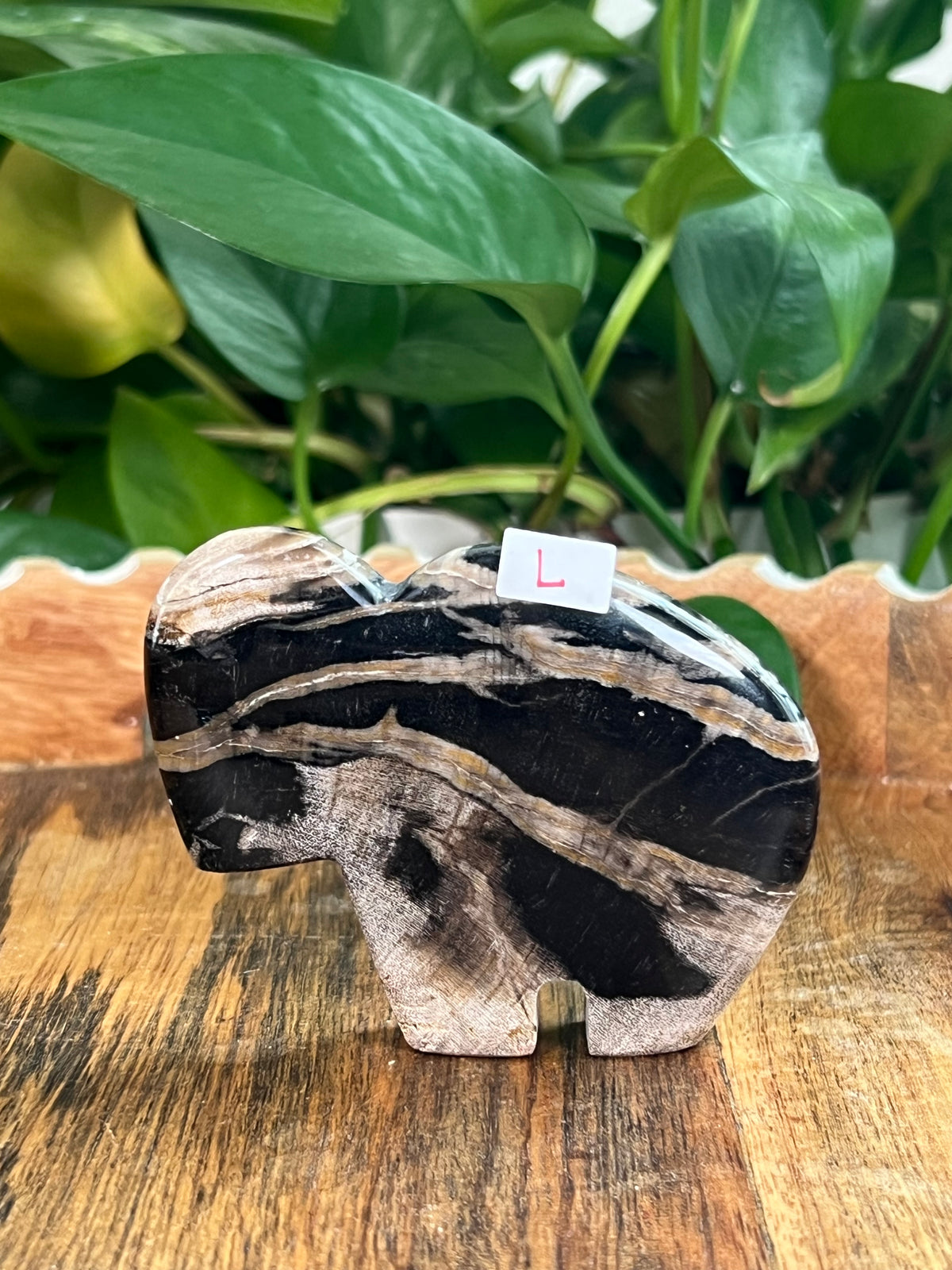 Fossil Wood Buffalos