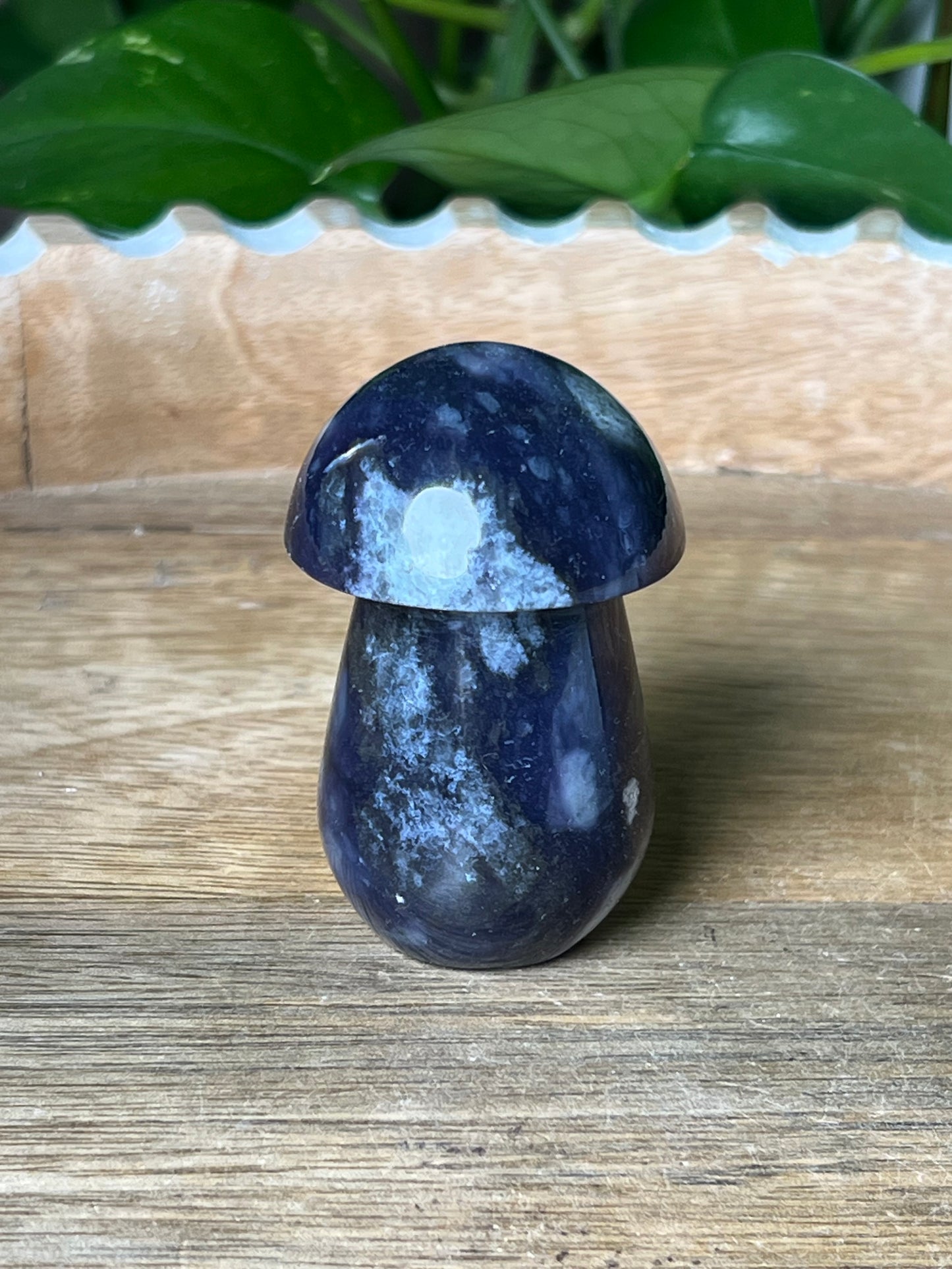 Purple Chalcedony Mushroom