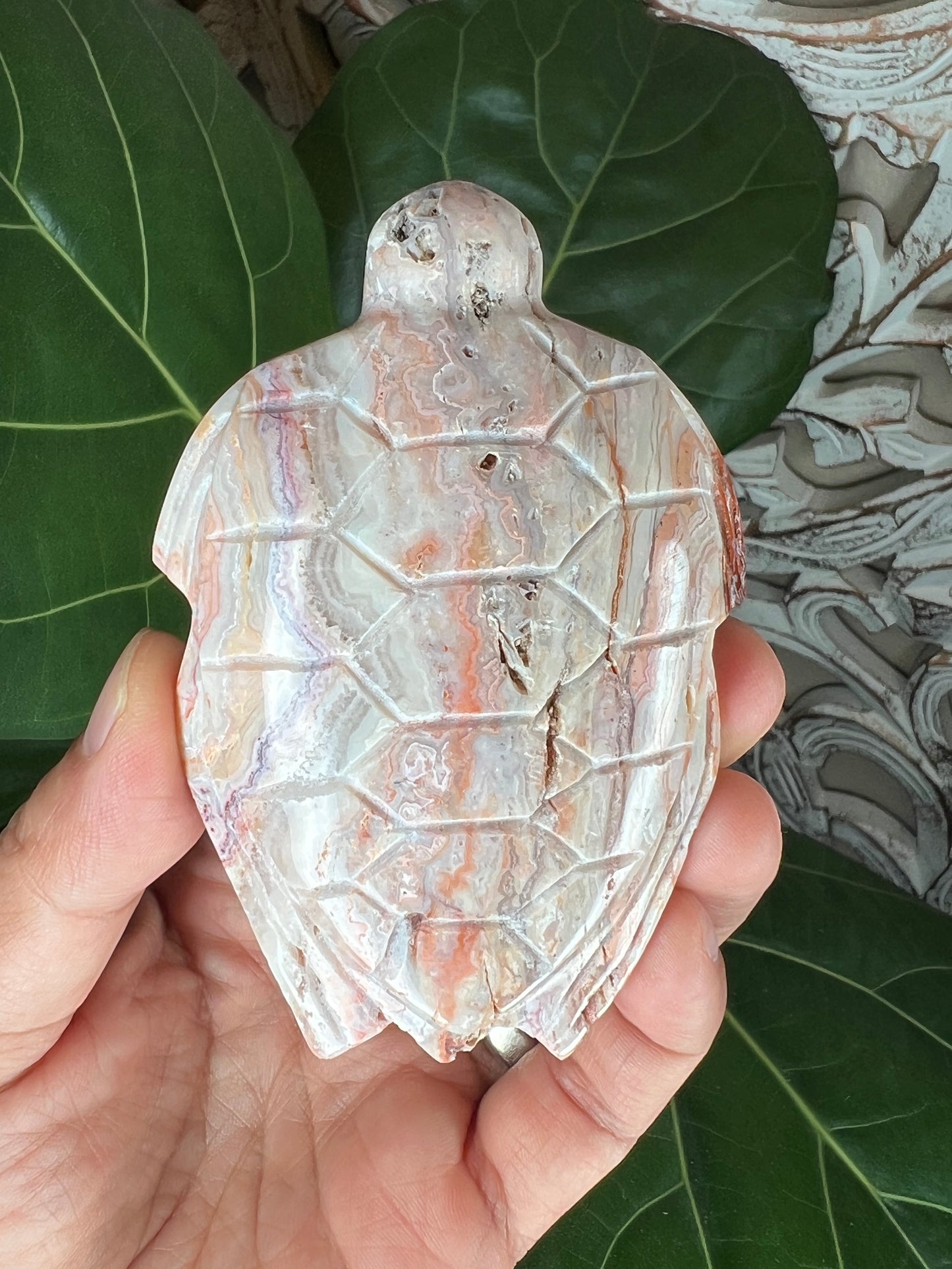 Crazy Lace Agate Turtle