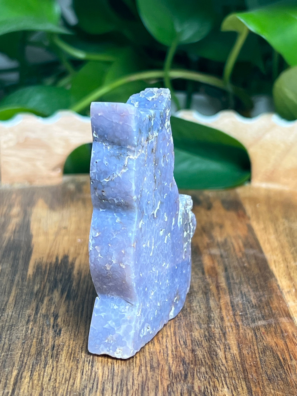 Grape Agate Cat: Ni