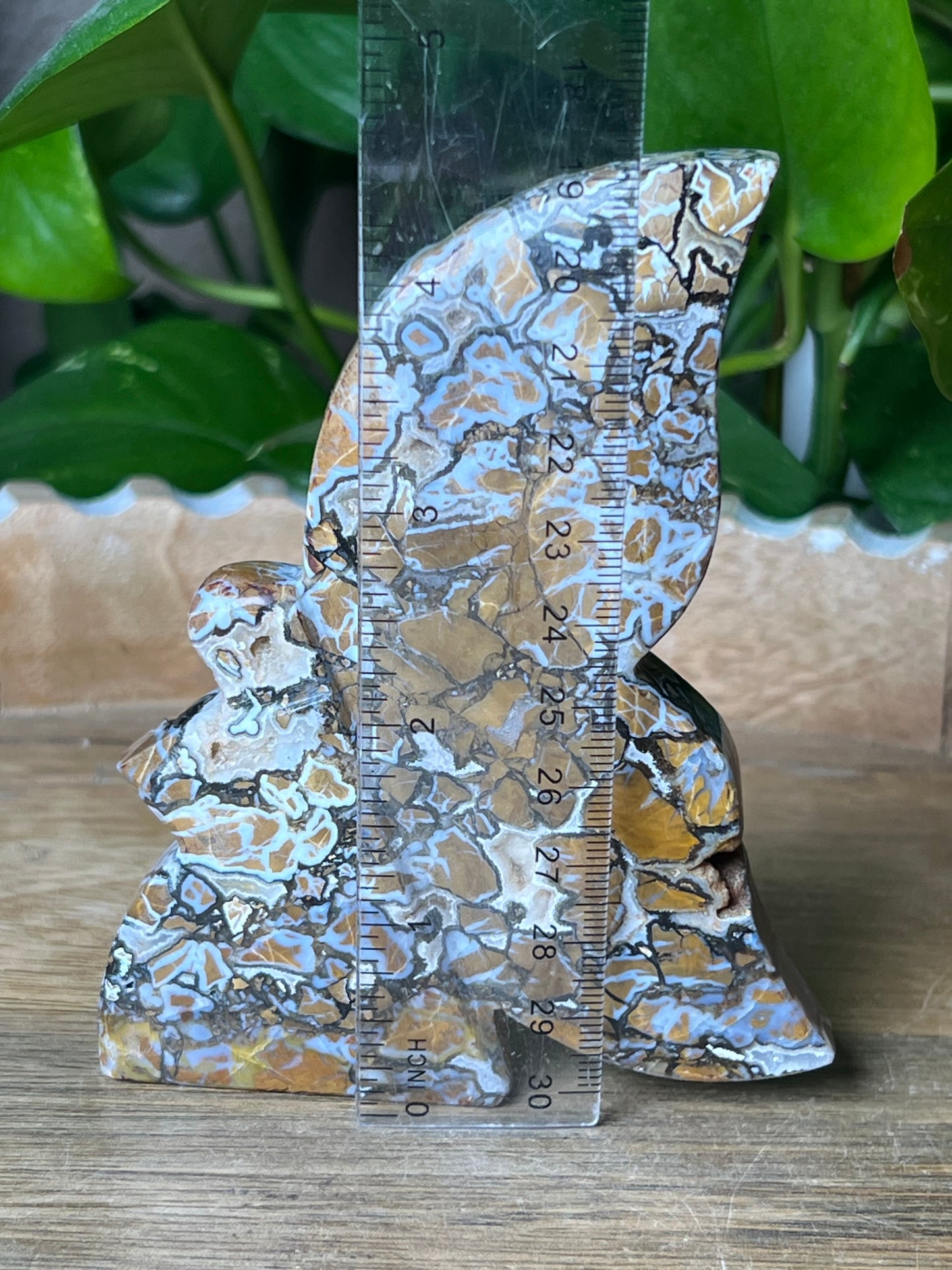 Brecciated Jasper Fairy
