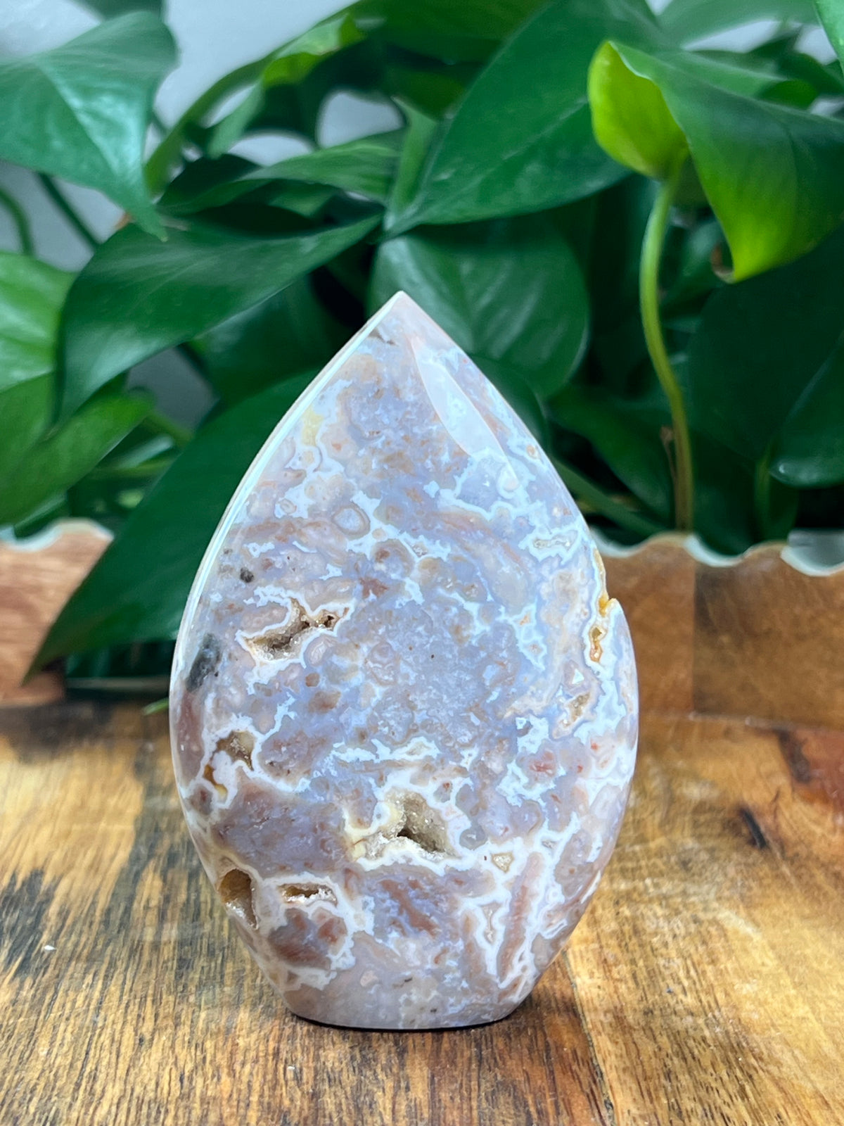 Sumatra Plume Agate Flame: NE