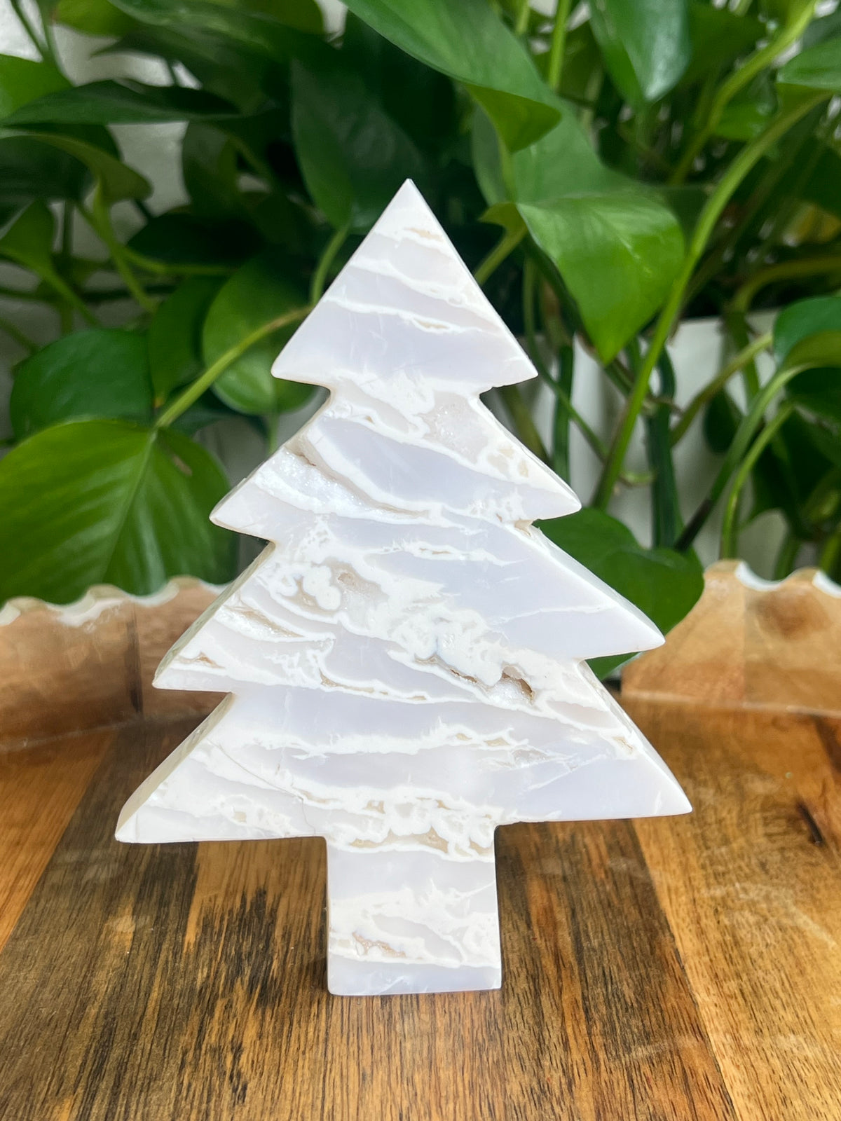 White Plume Agate Tree: BK