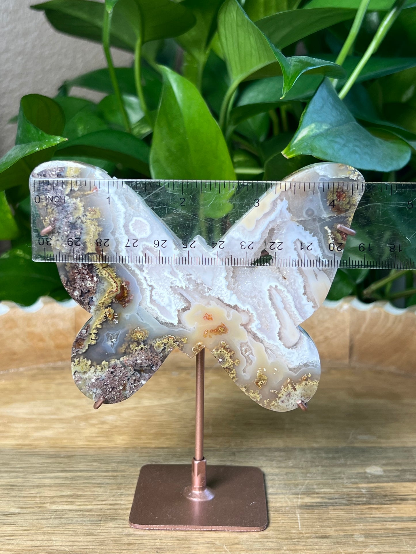 Scenic Moss Agate Butterfly