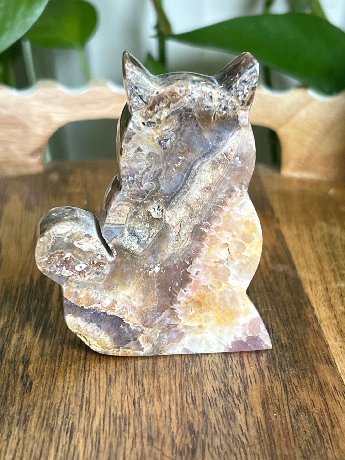 Indonesian Amethyst Cat CK