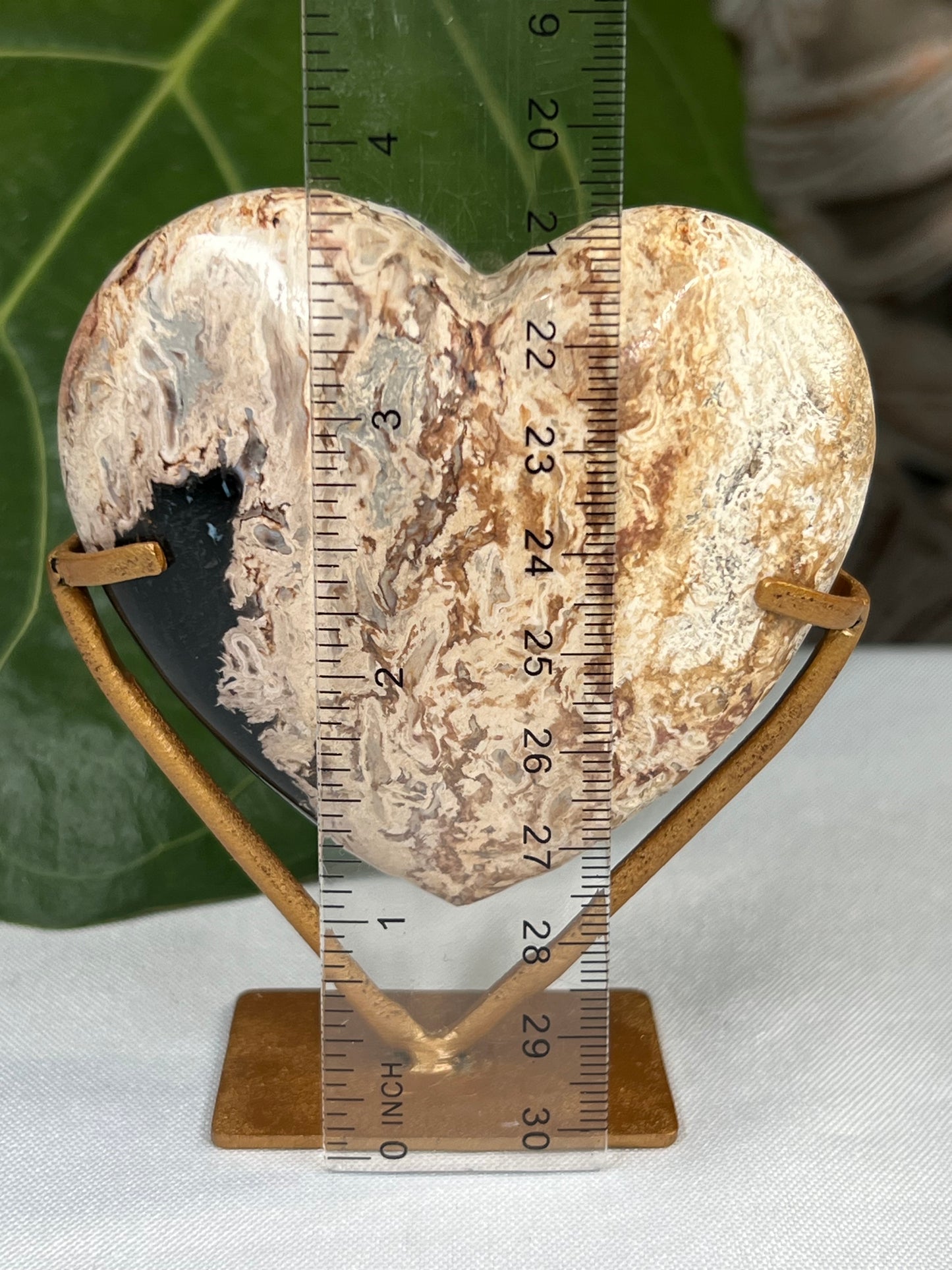 Palm Root Heart