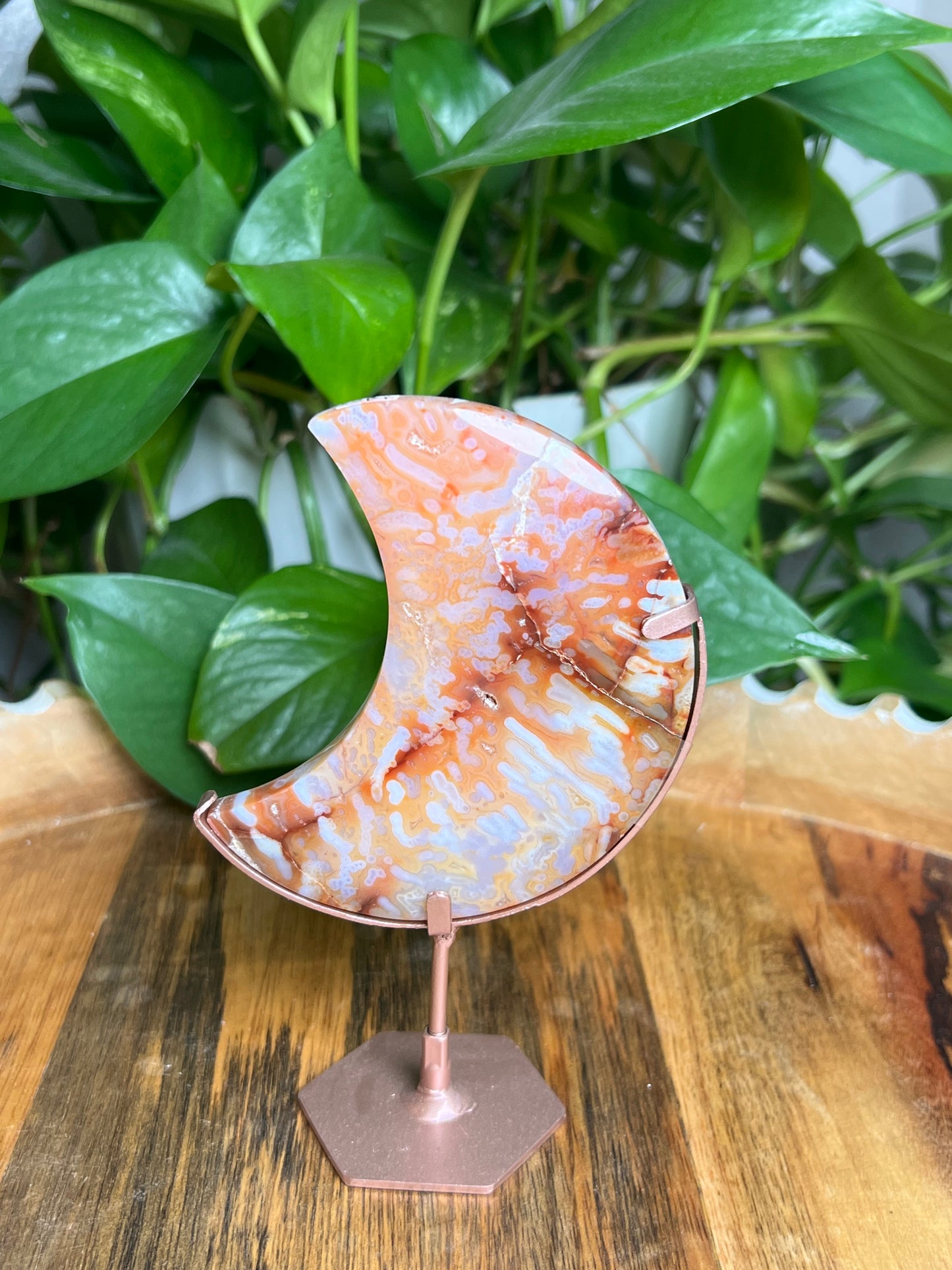 Carnelian Moon: Bi