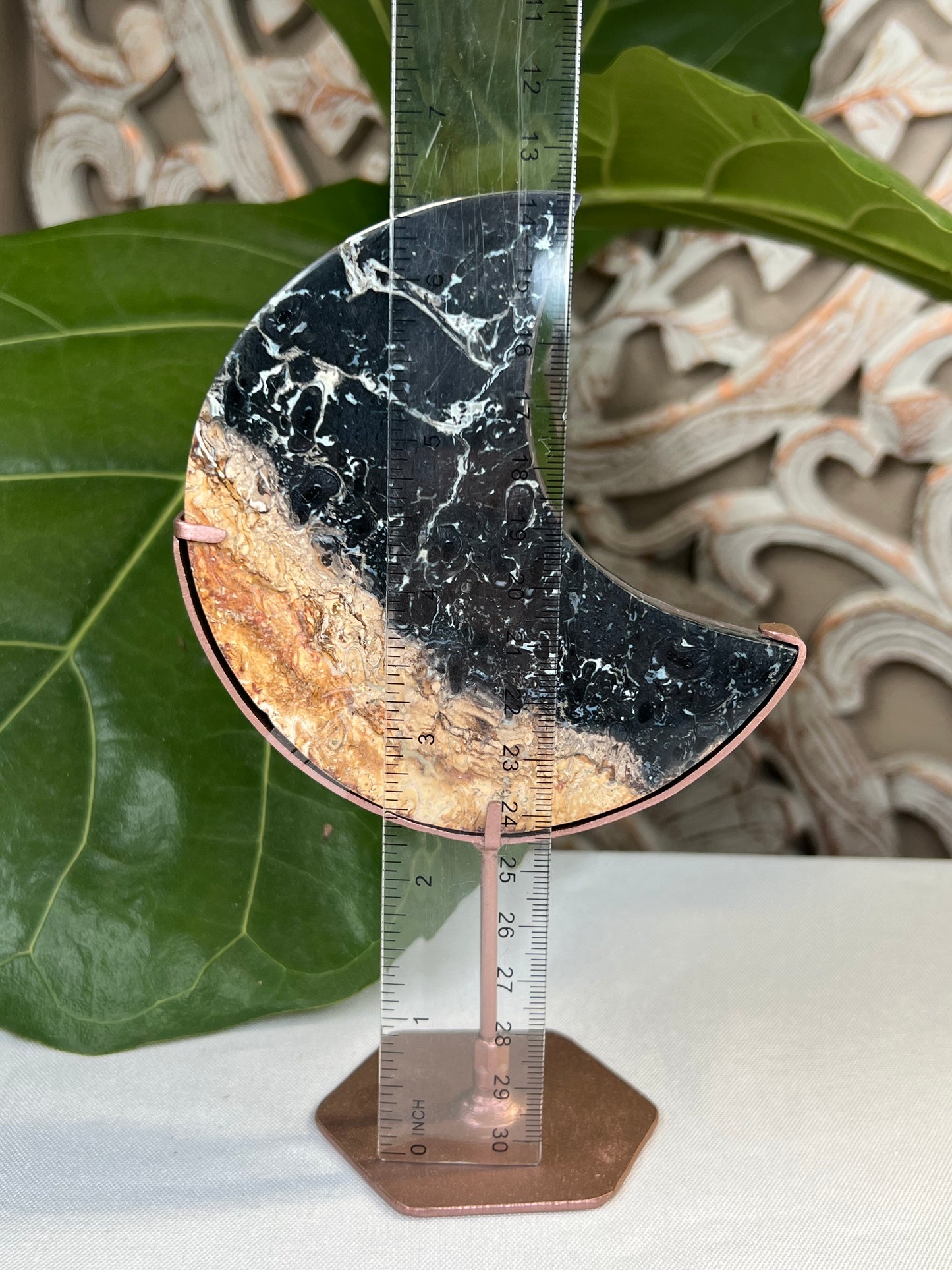 Palm Root Moon