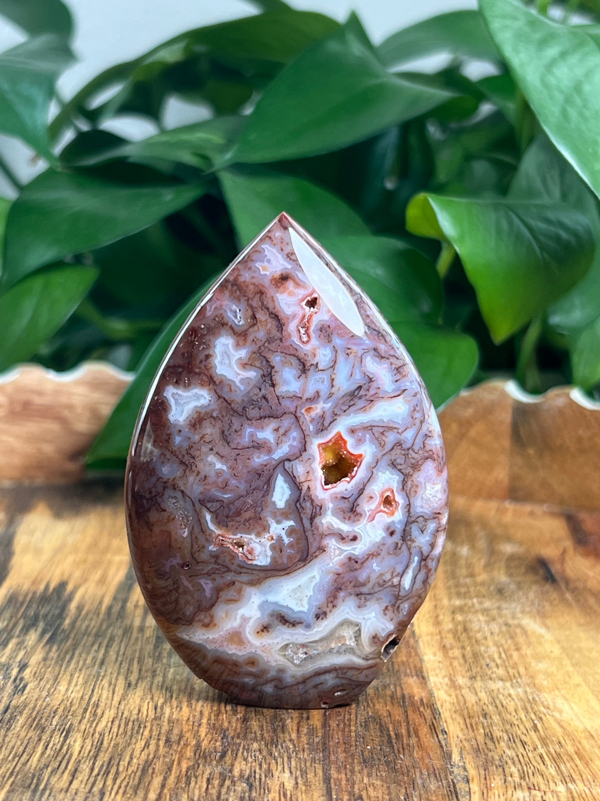 Sumatra Plume Agate Flame: BK