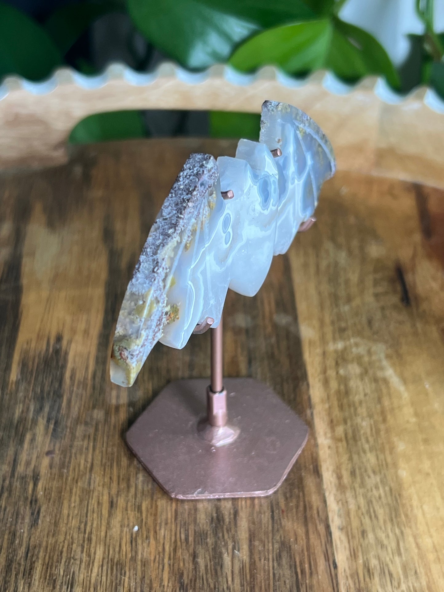 Scenic Moss Agate Bat