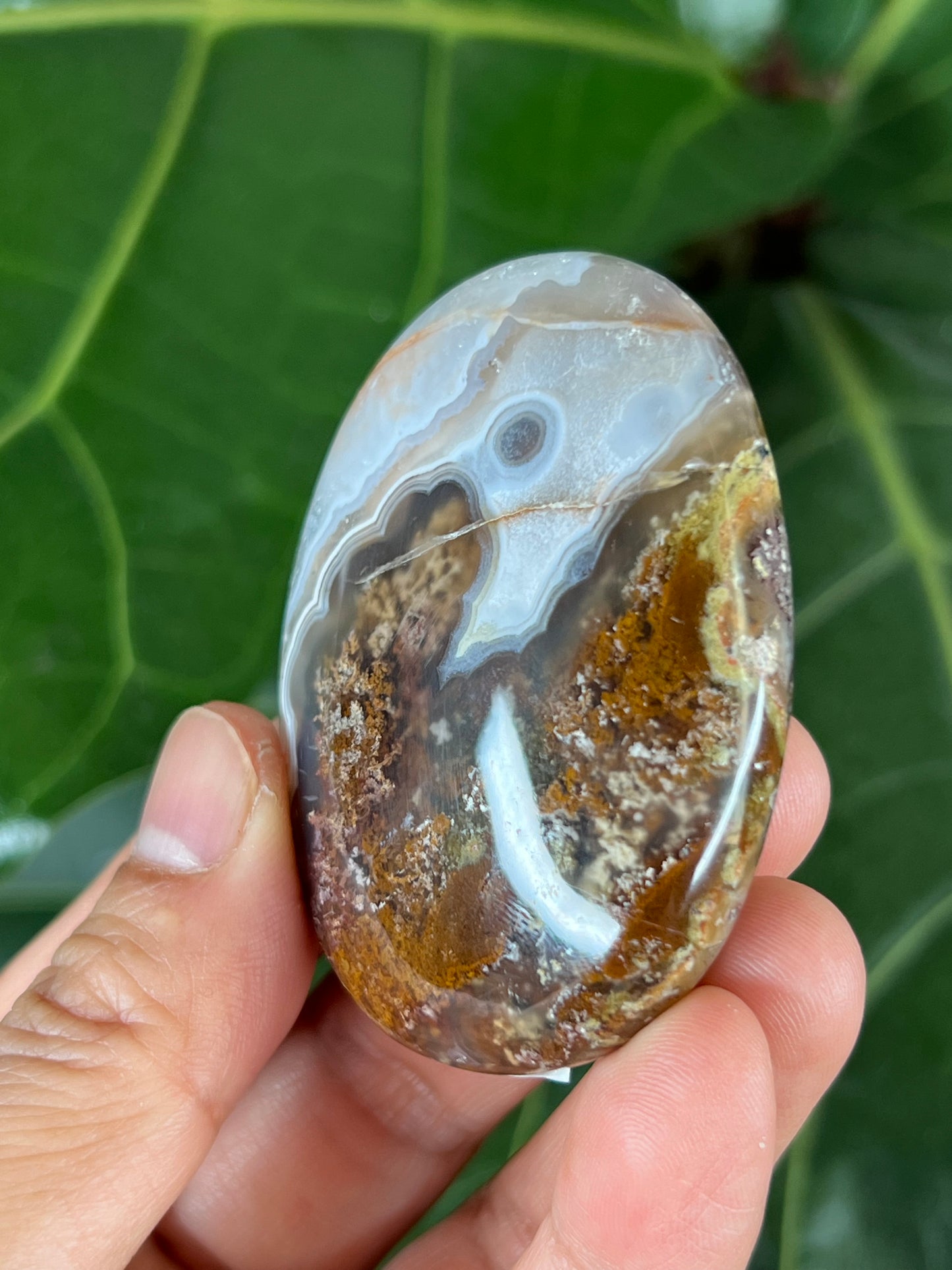Scenic Moss Agate Palm Stone