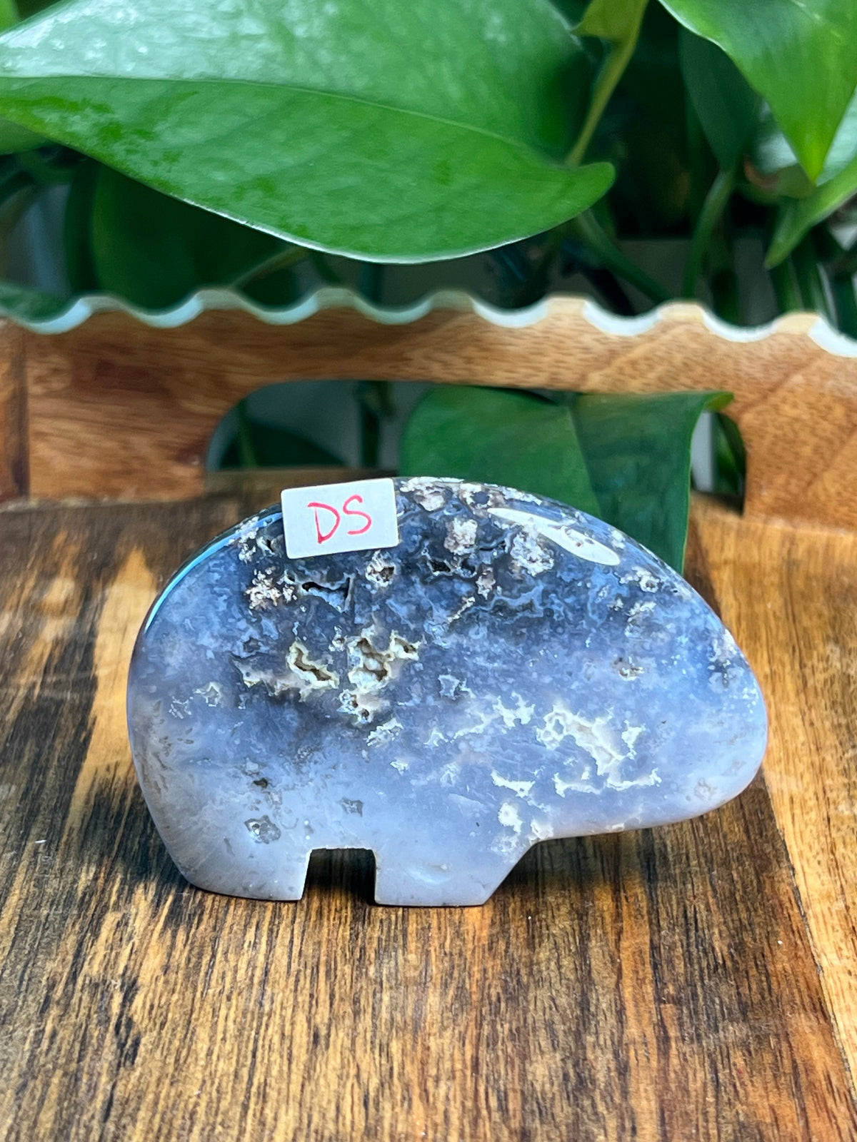 Blue Plume Agate Bears