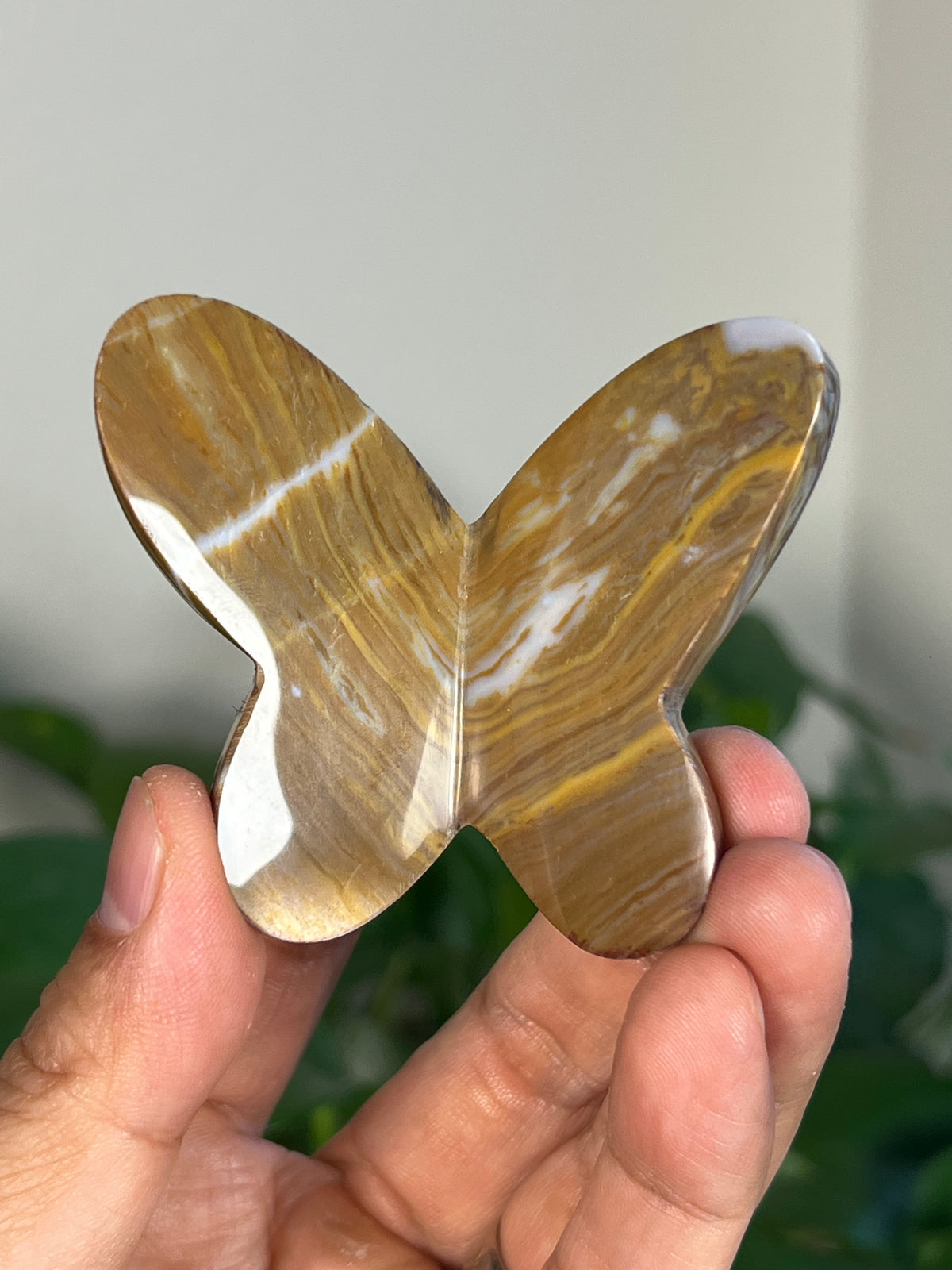 Milky River Jasper 3D Butterflies