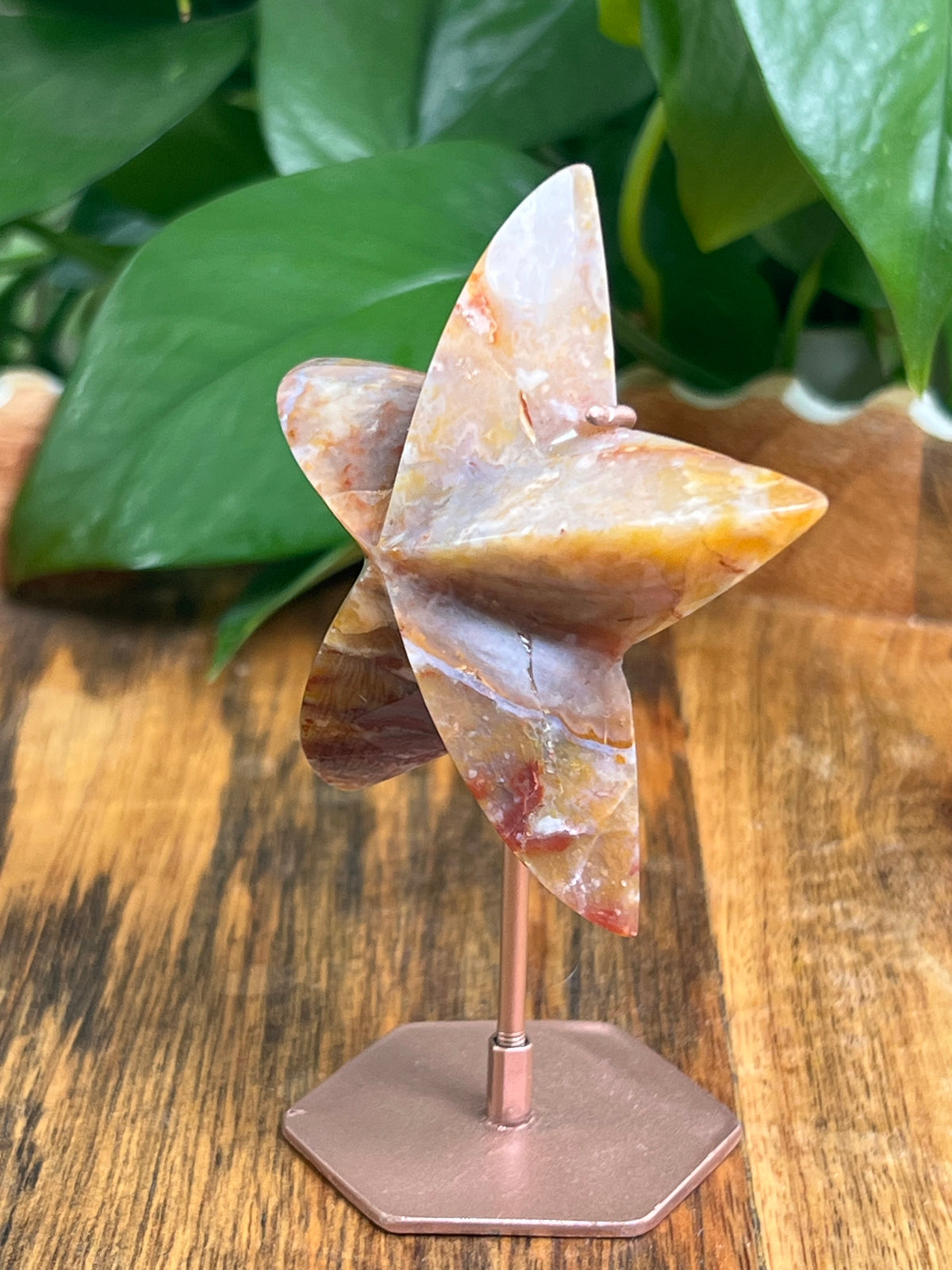 River Jasper Star: R