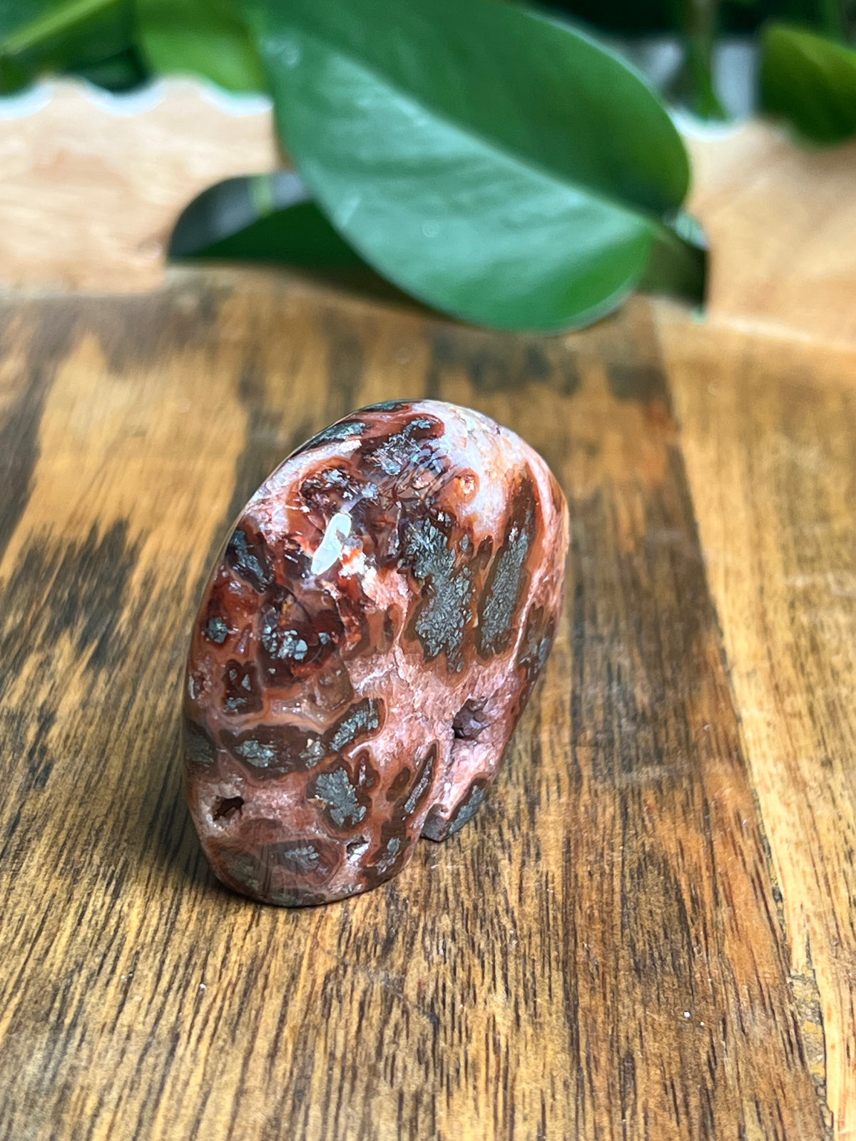 Marcasite Mini Bear:RX