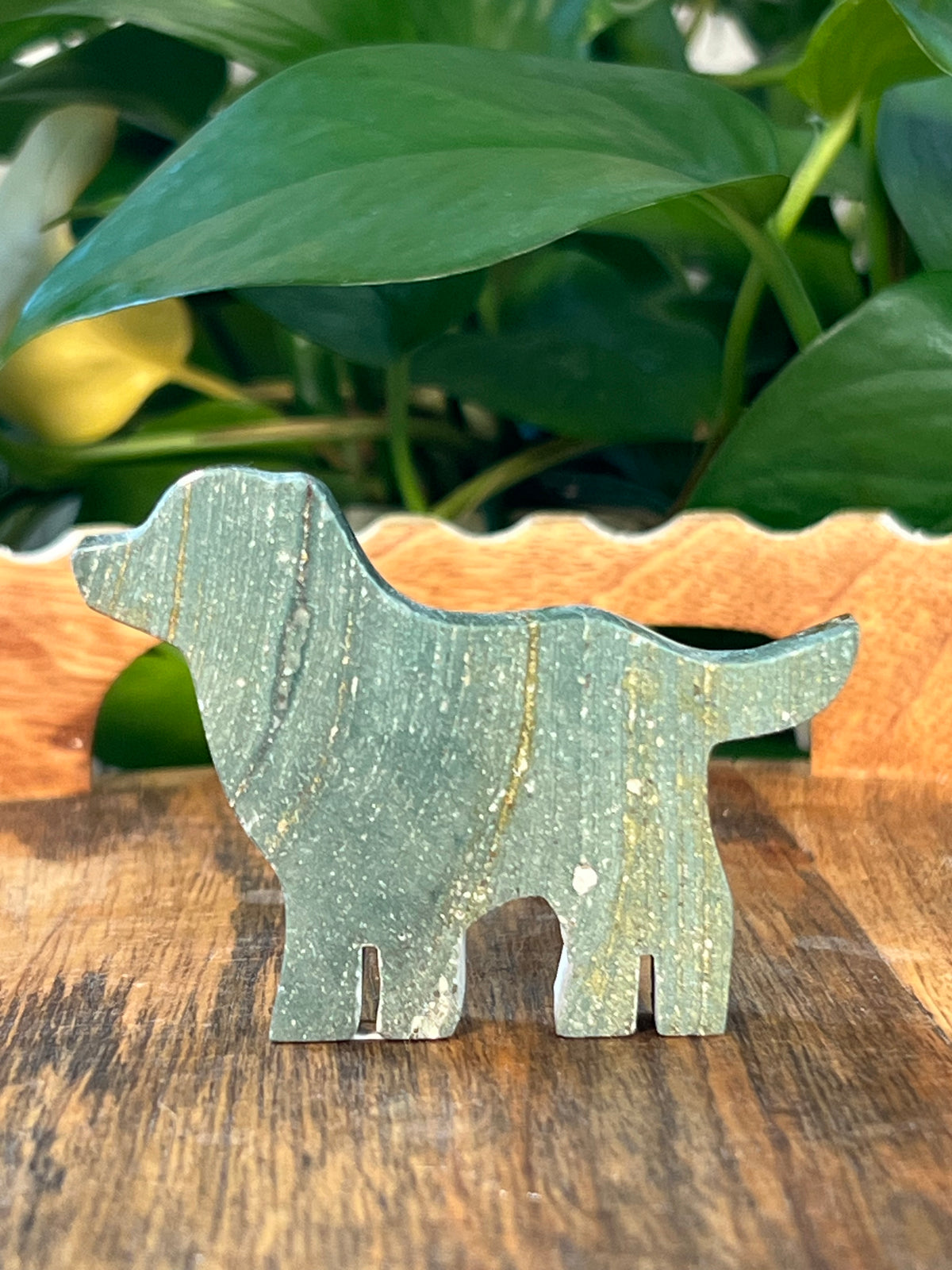 Blue Green Jasper Dogs