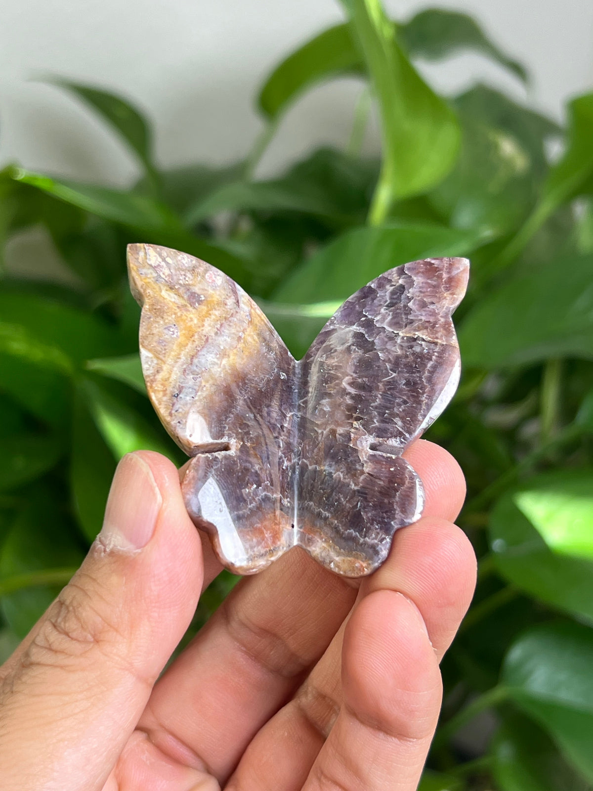 Indonesian Amethyst 3D Butterfly: D