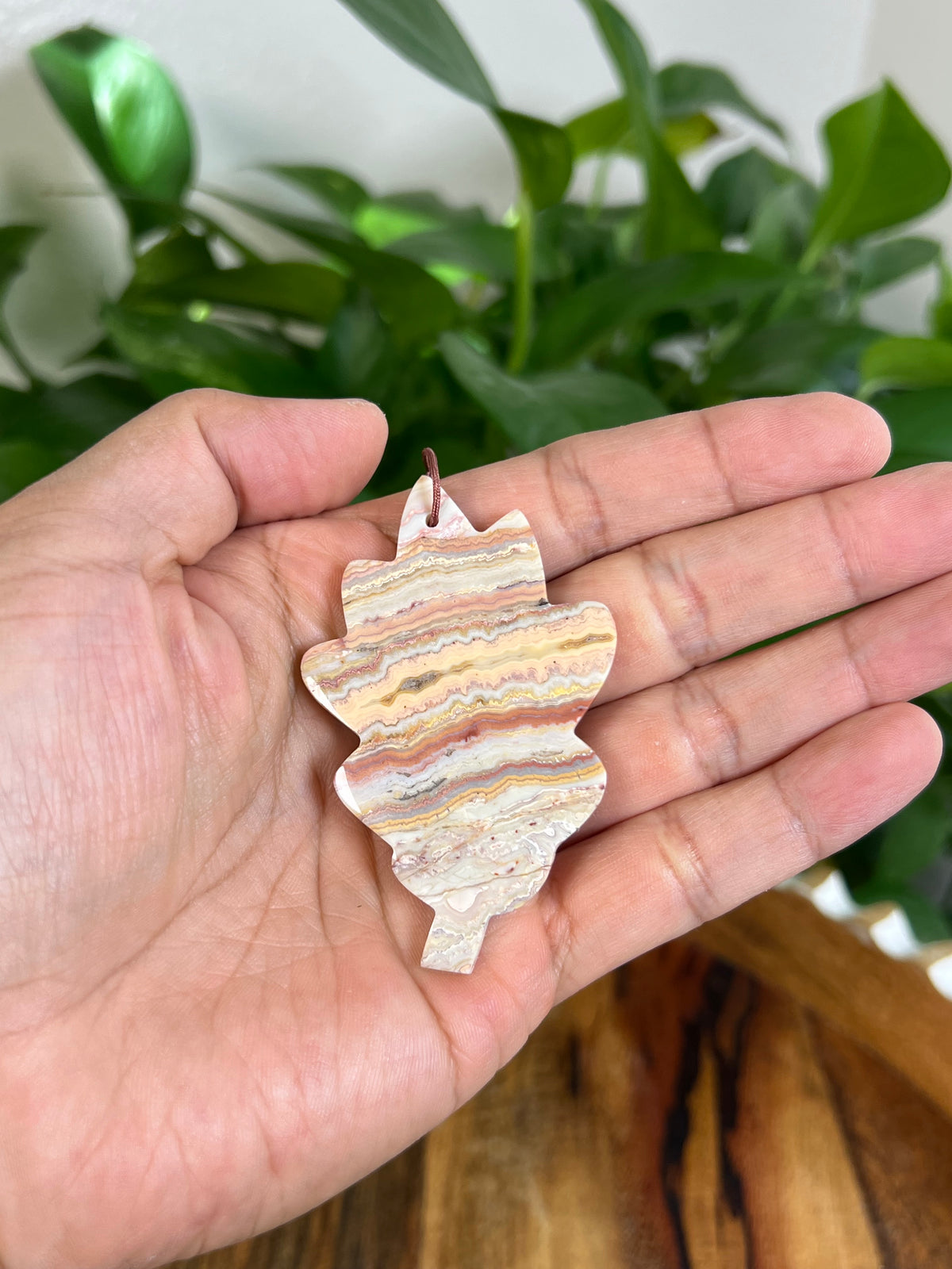 Crazy Lace Agate Leaf Ornaments