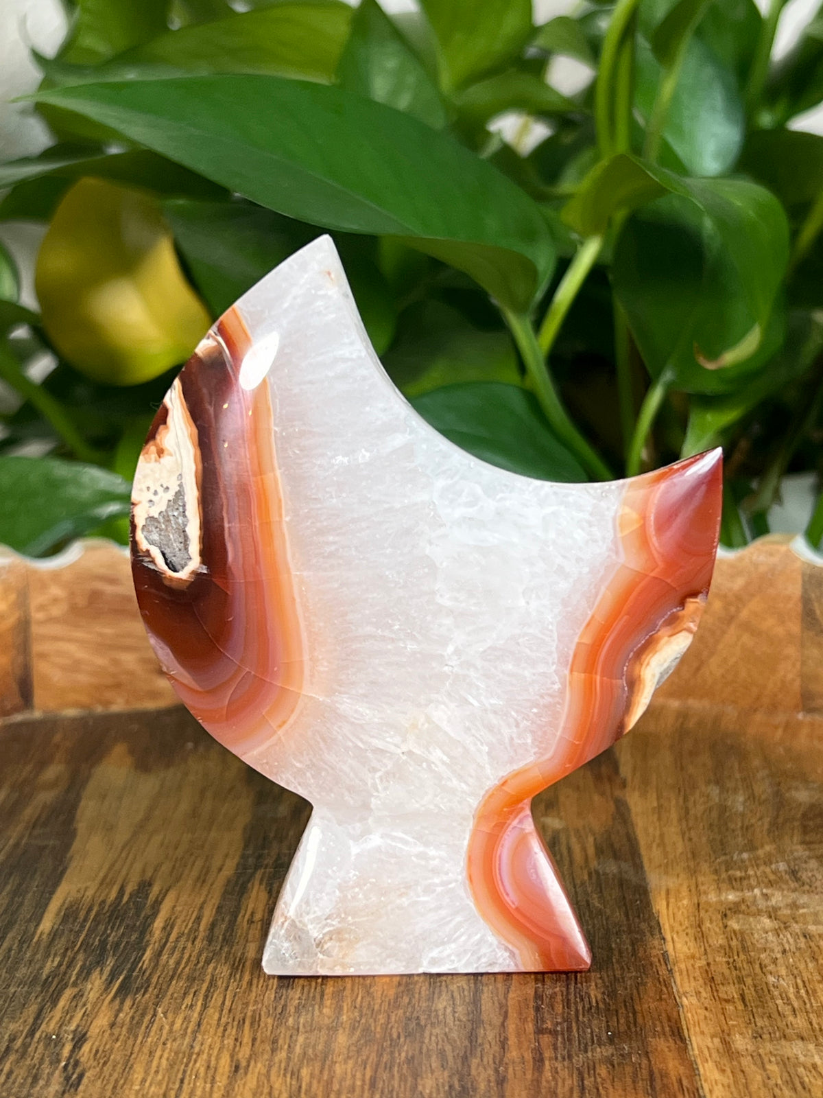 Red Carnelian Self Standing Moons
