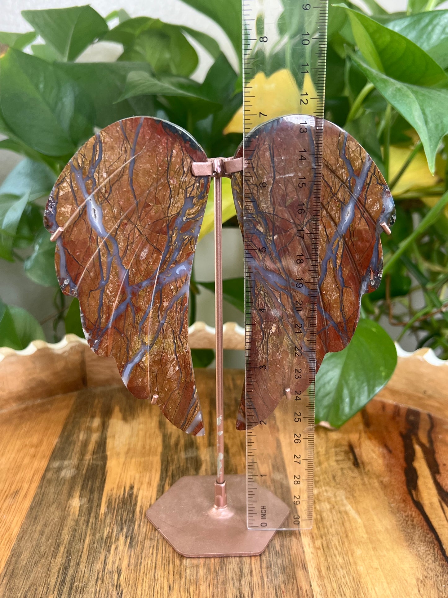 Brecciated Jasper Wings BA