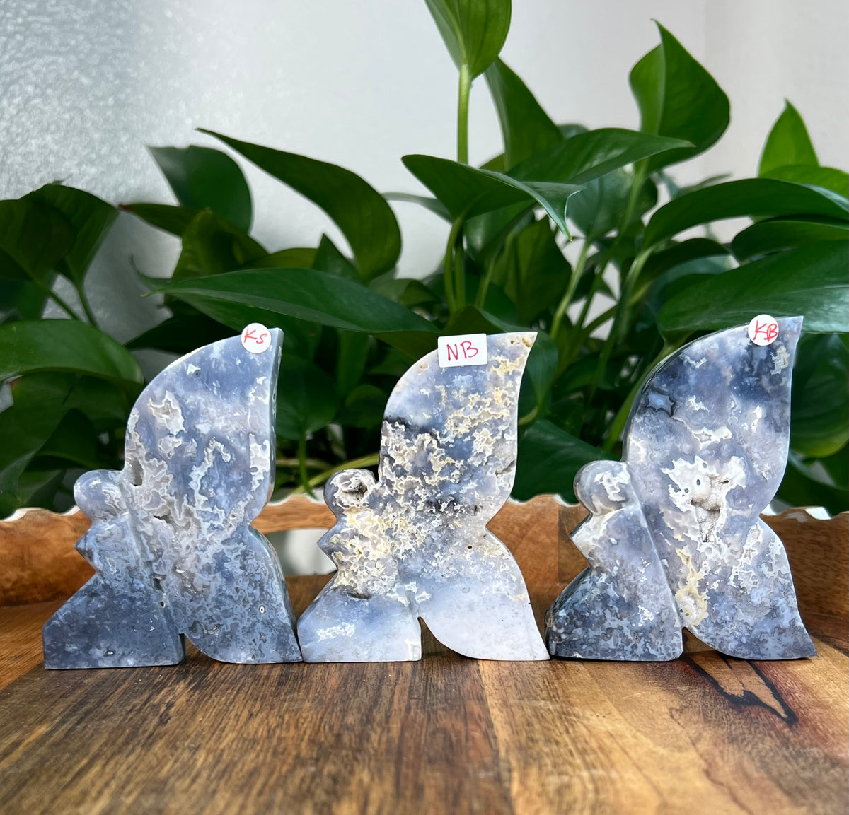 Blue Plume Agate Fairies