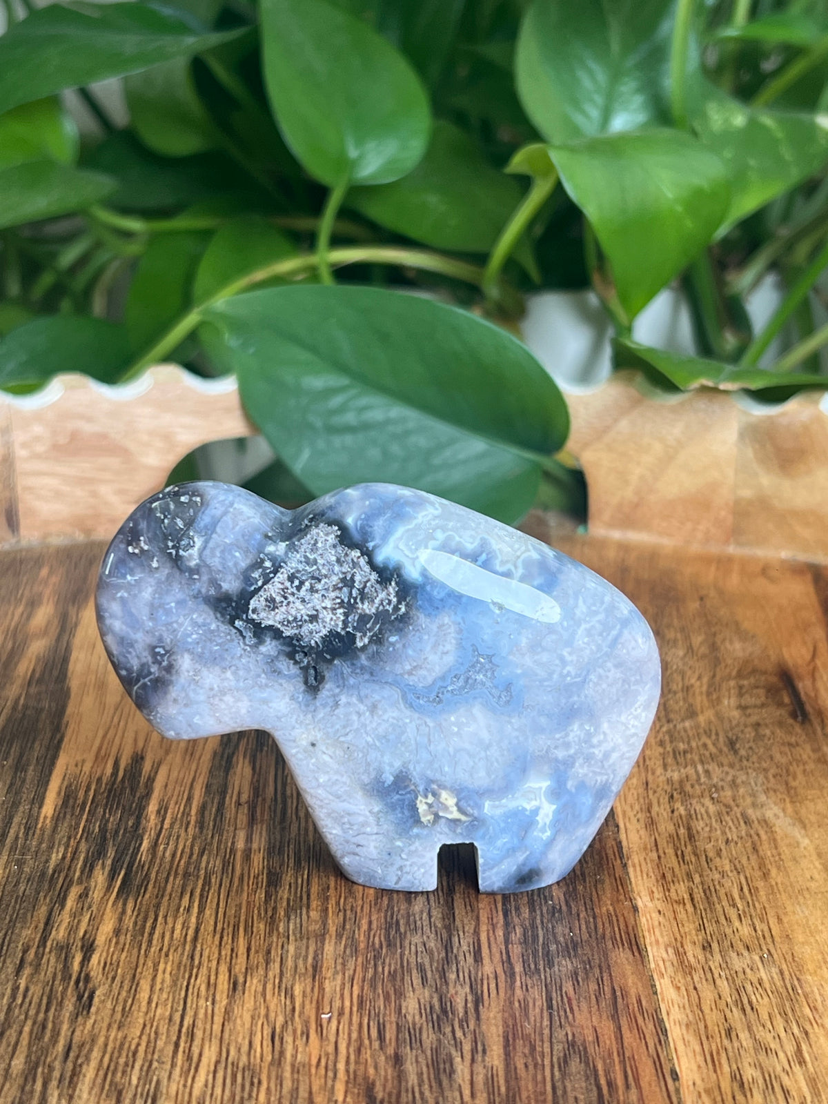 Blue Plume Agate Buffalo: BA