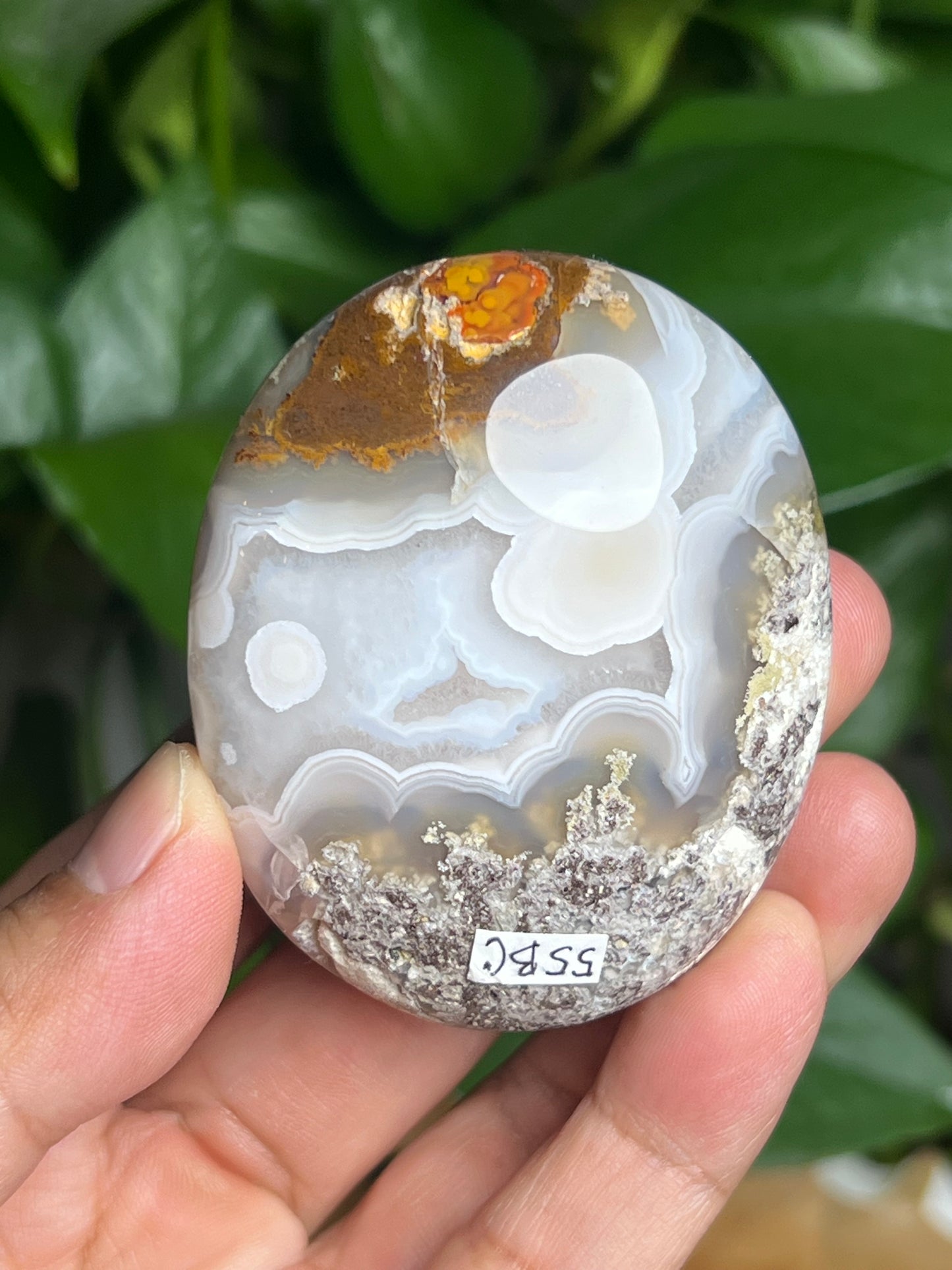 Scenic Moss Agate Palmstone: BC