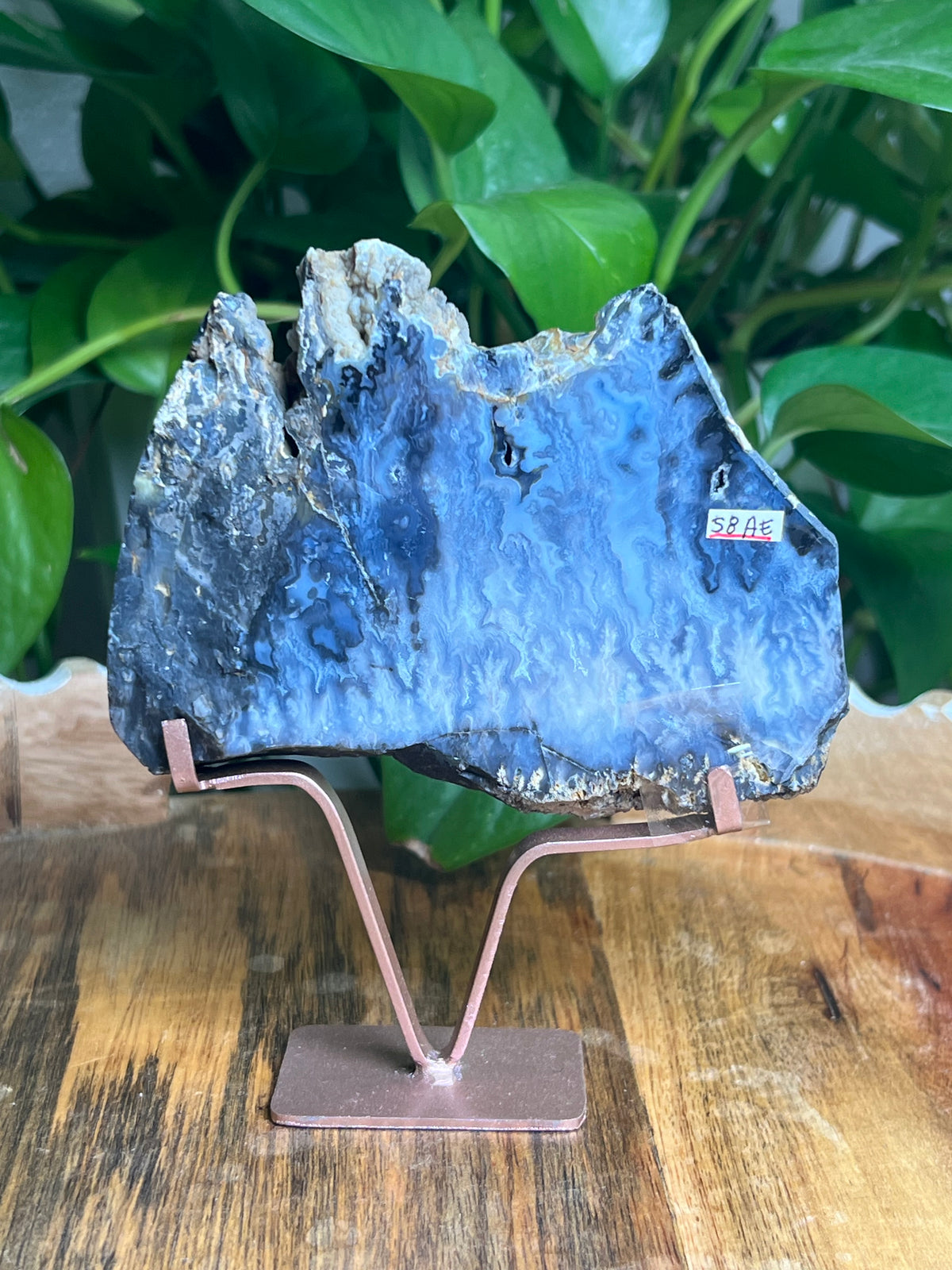 Blue Plume Agate Slab: AE