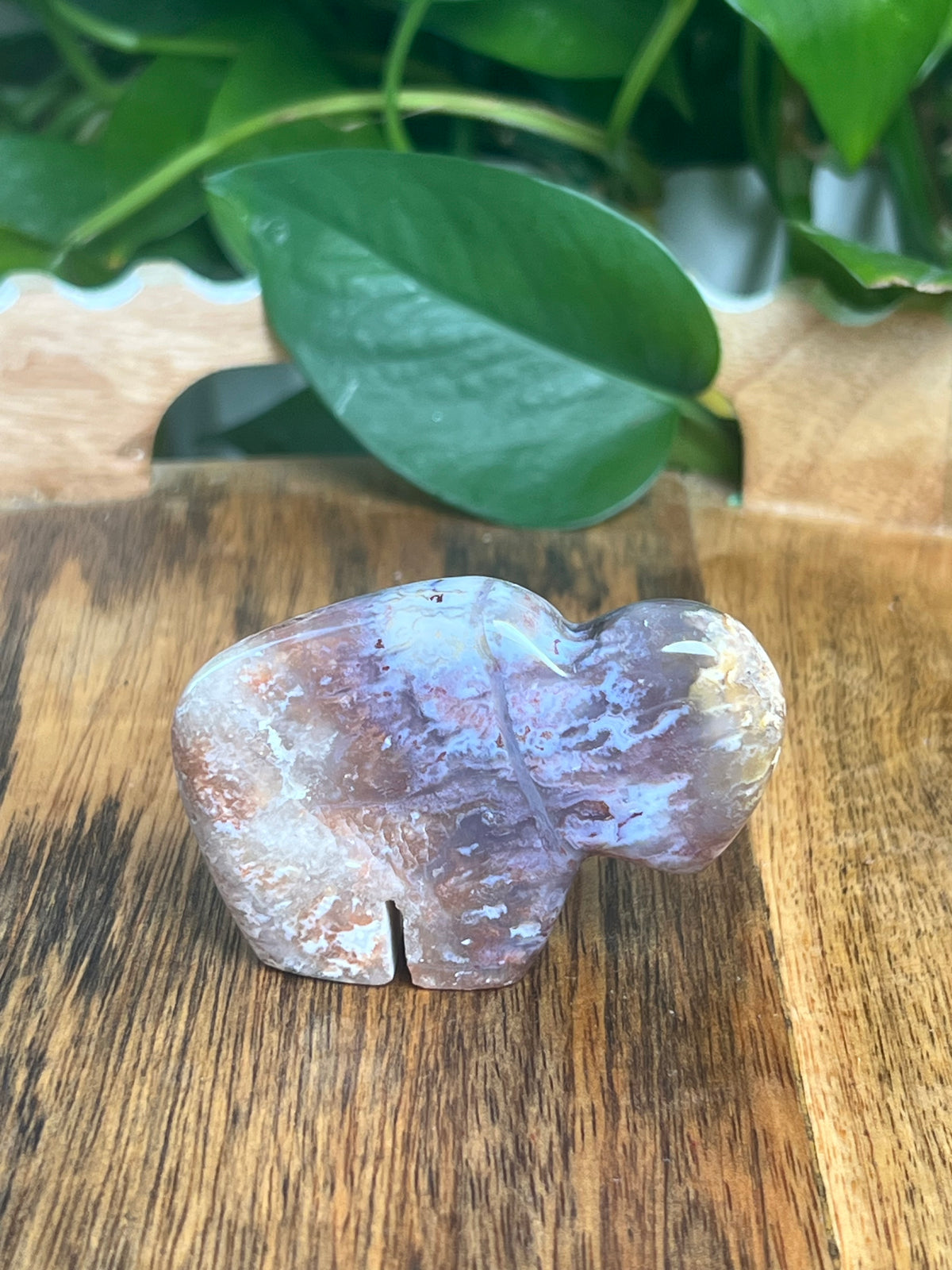 Sumatra Plume Agate Mini Buffalo: DN