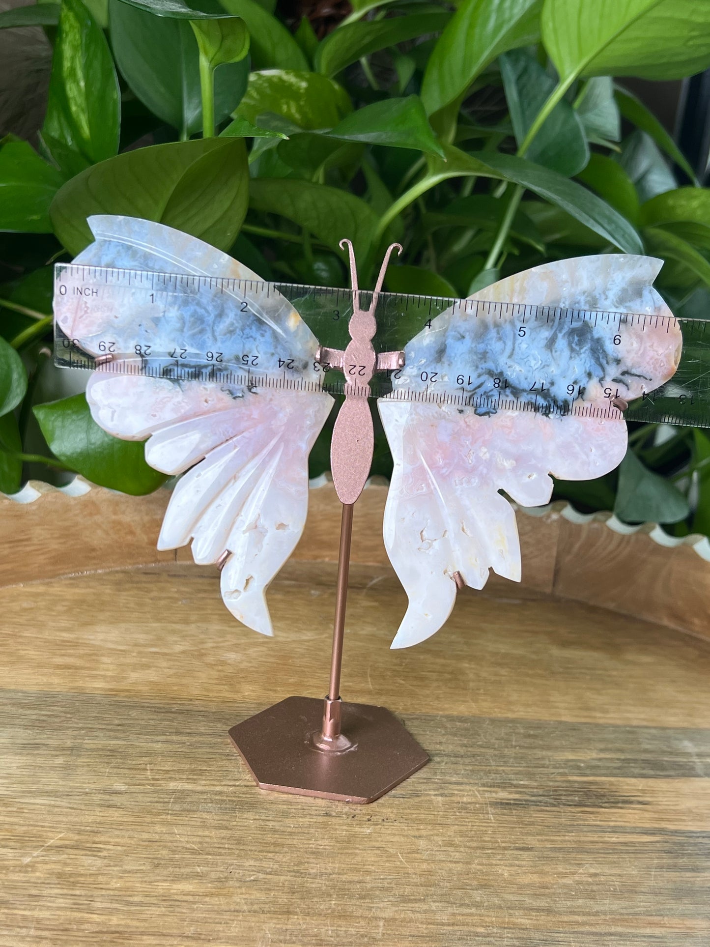 Rainbow Plume Agate Wings