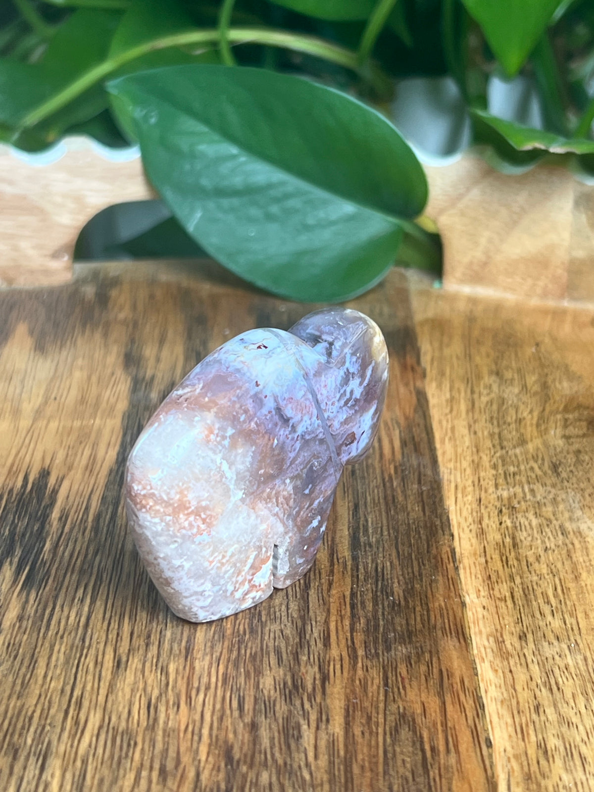 Sumatra Plume Agate Mini Buffalo: DN