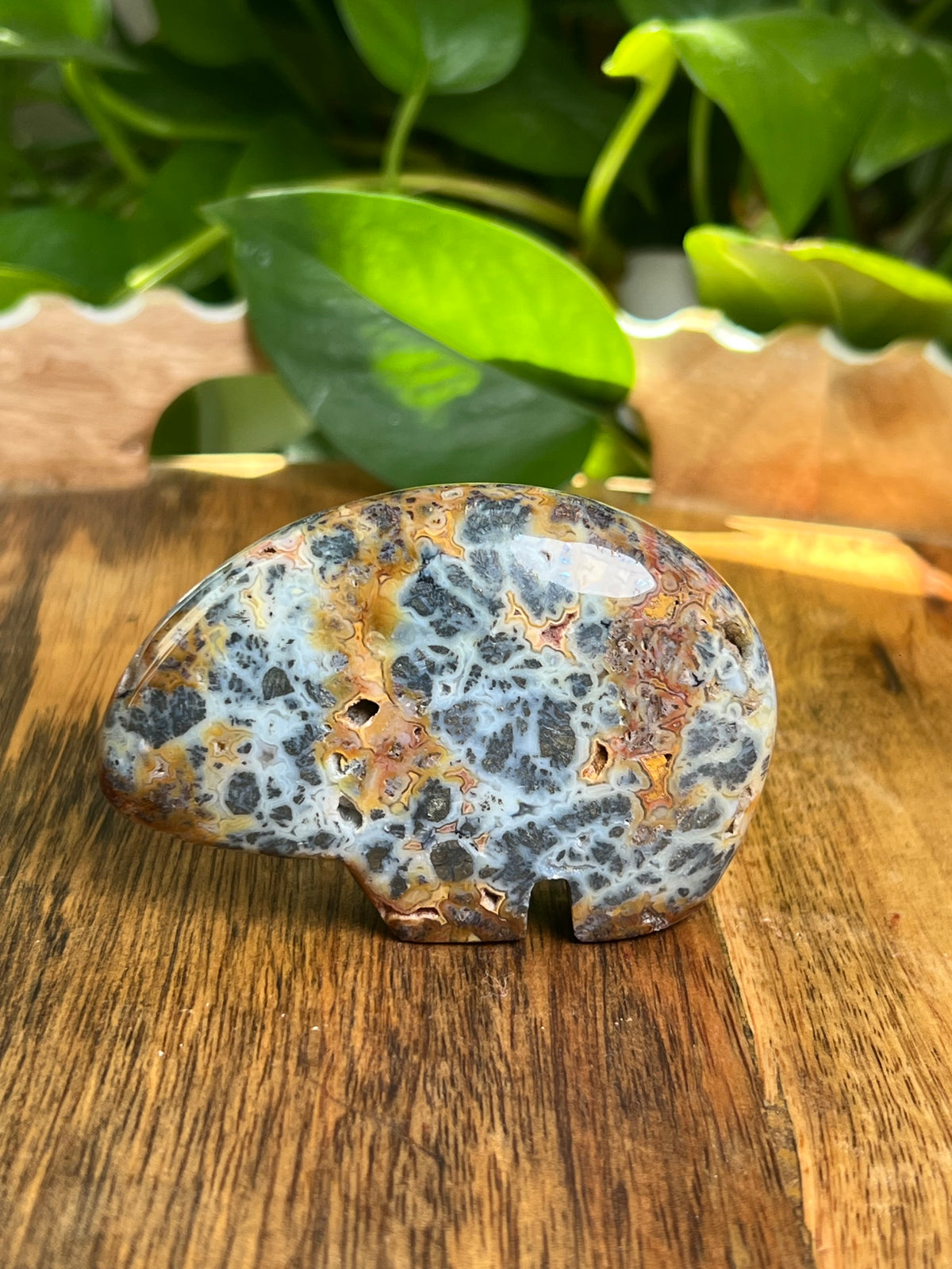 Marcasite Bear: ZA