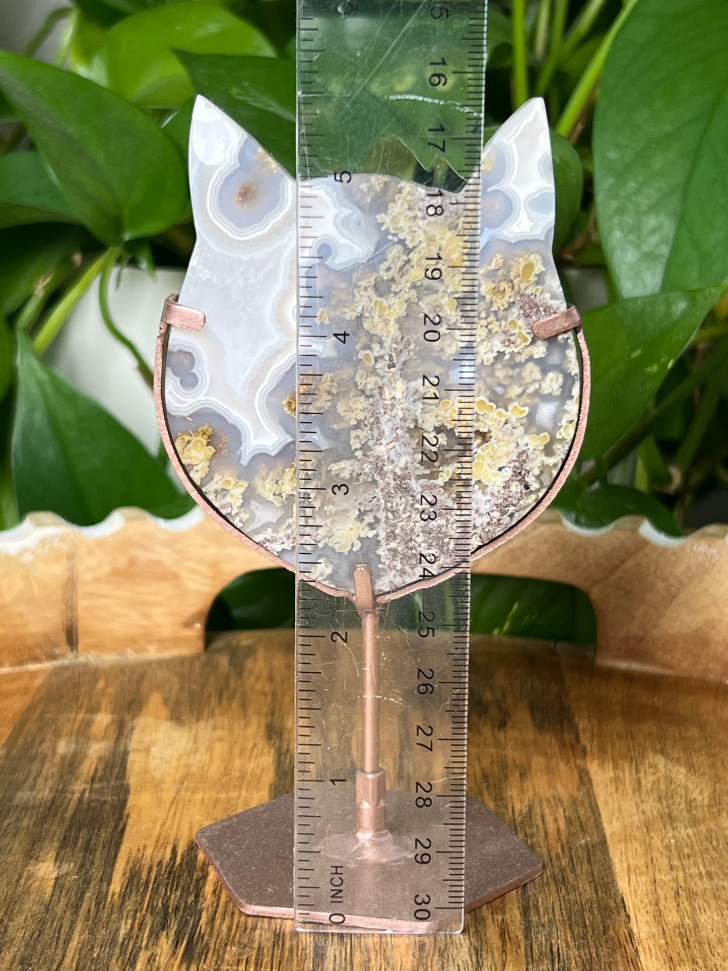 Scenic Moss Agate Cat