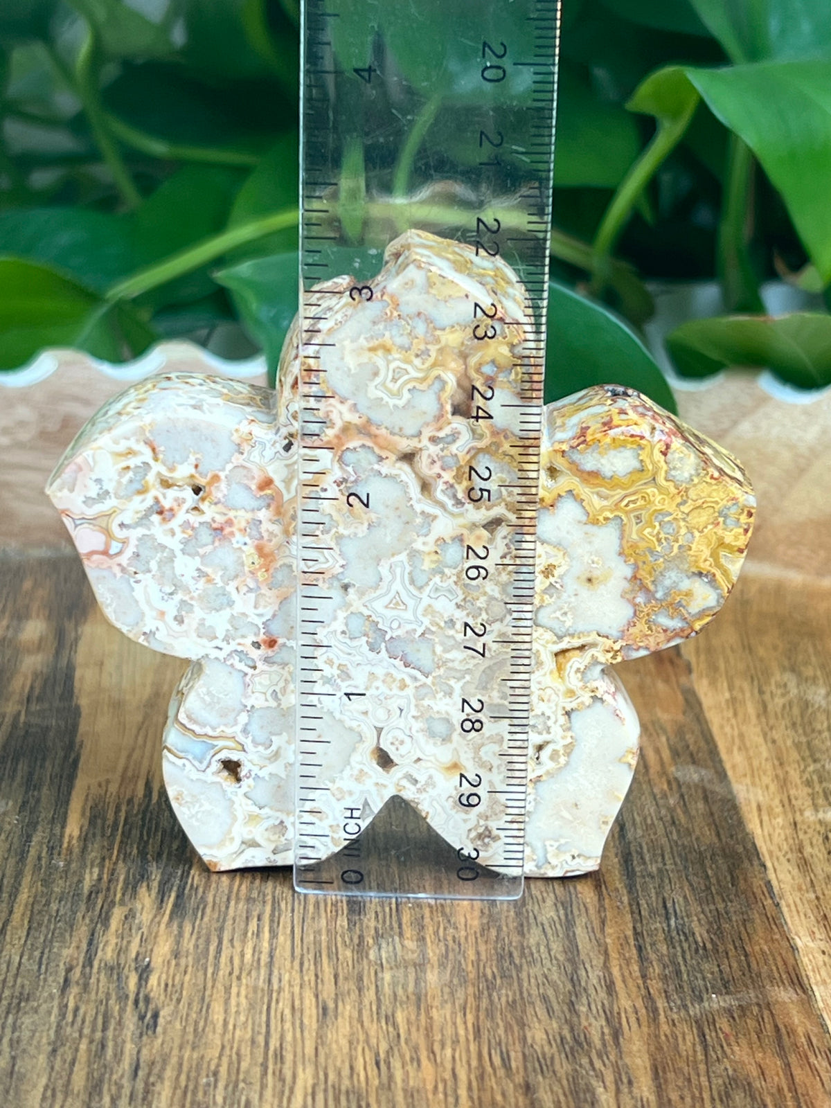 Crazy Lace Agate Flower: Ai
