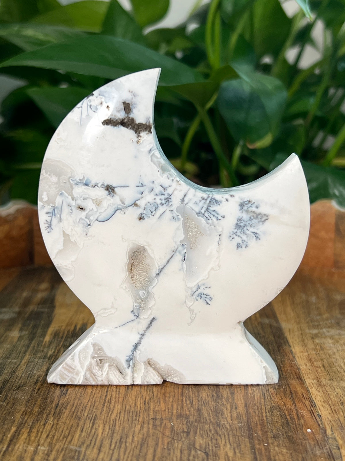 Dendritic Agate Moon: KB