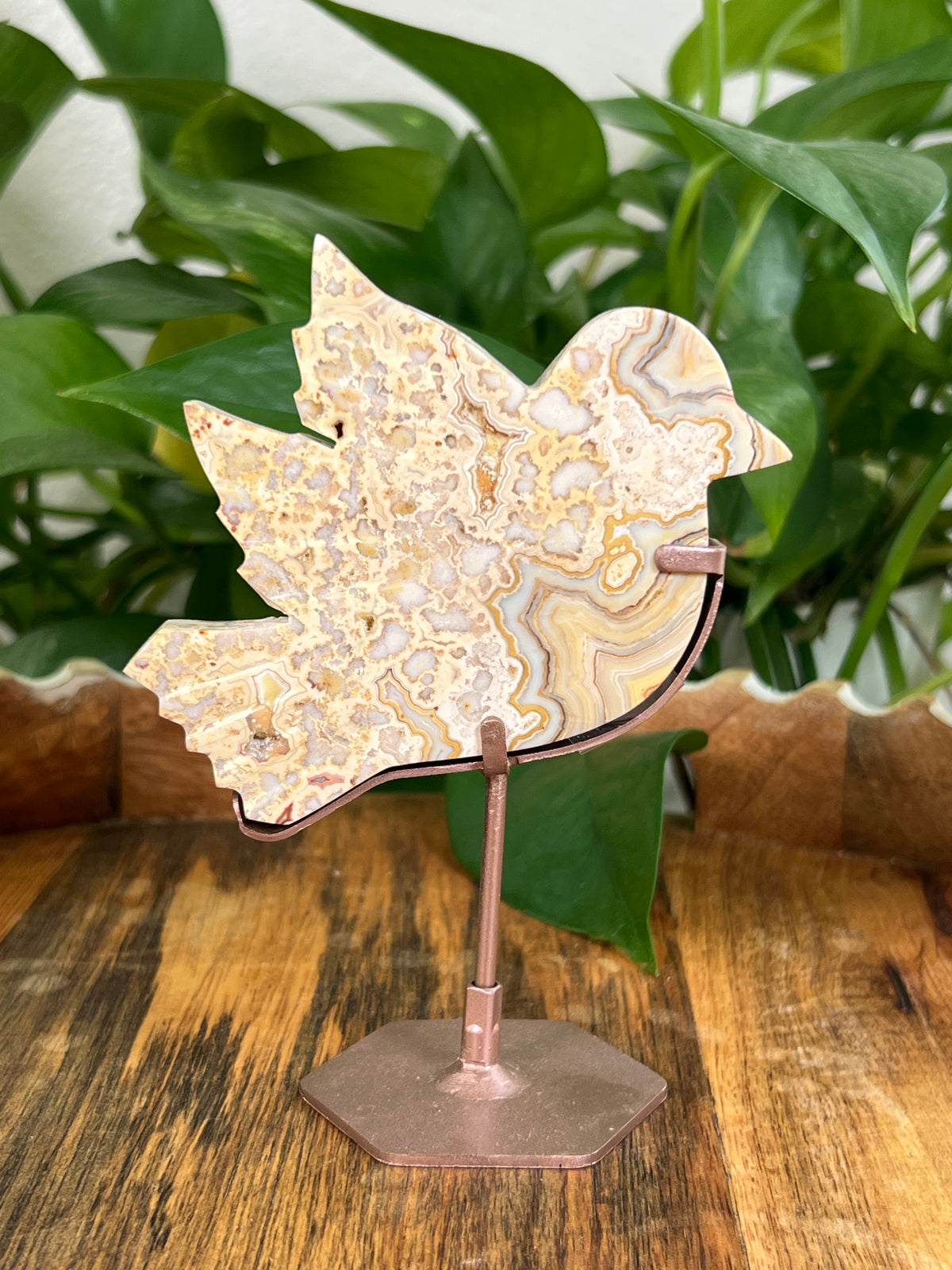 Crazy Lace Agate Birds