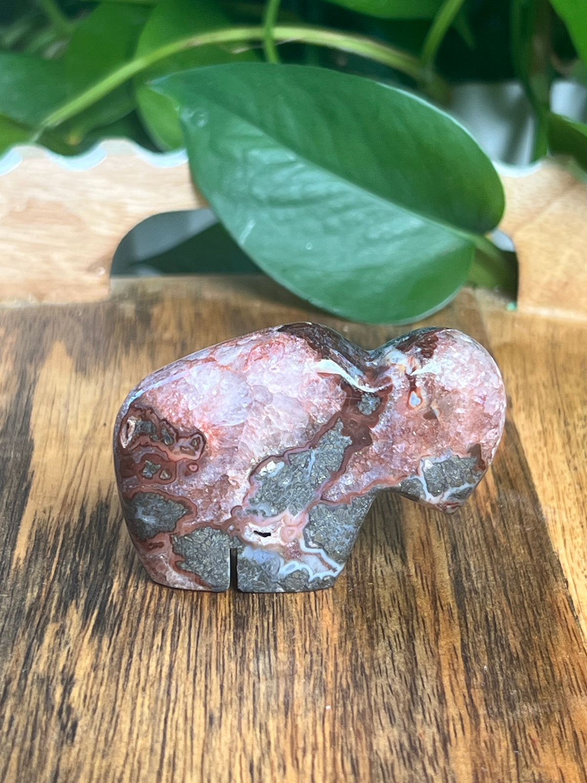 Marcasite Mini Buffalo: MB