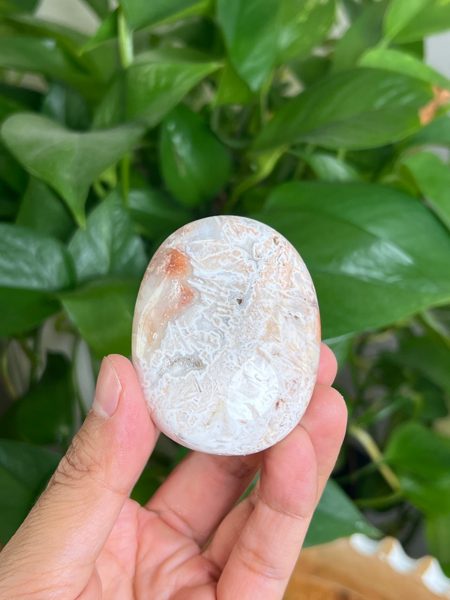 Tube Agate Palmstone: NA