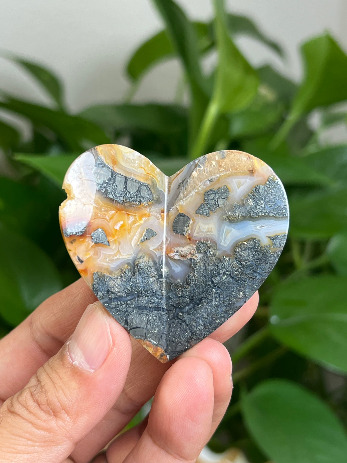 Marcasite 3D Butterfly Heart: TF