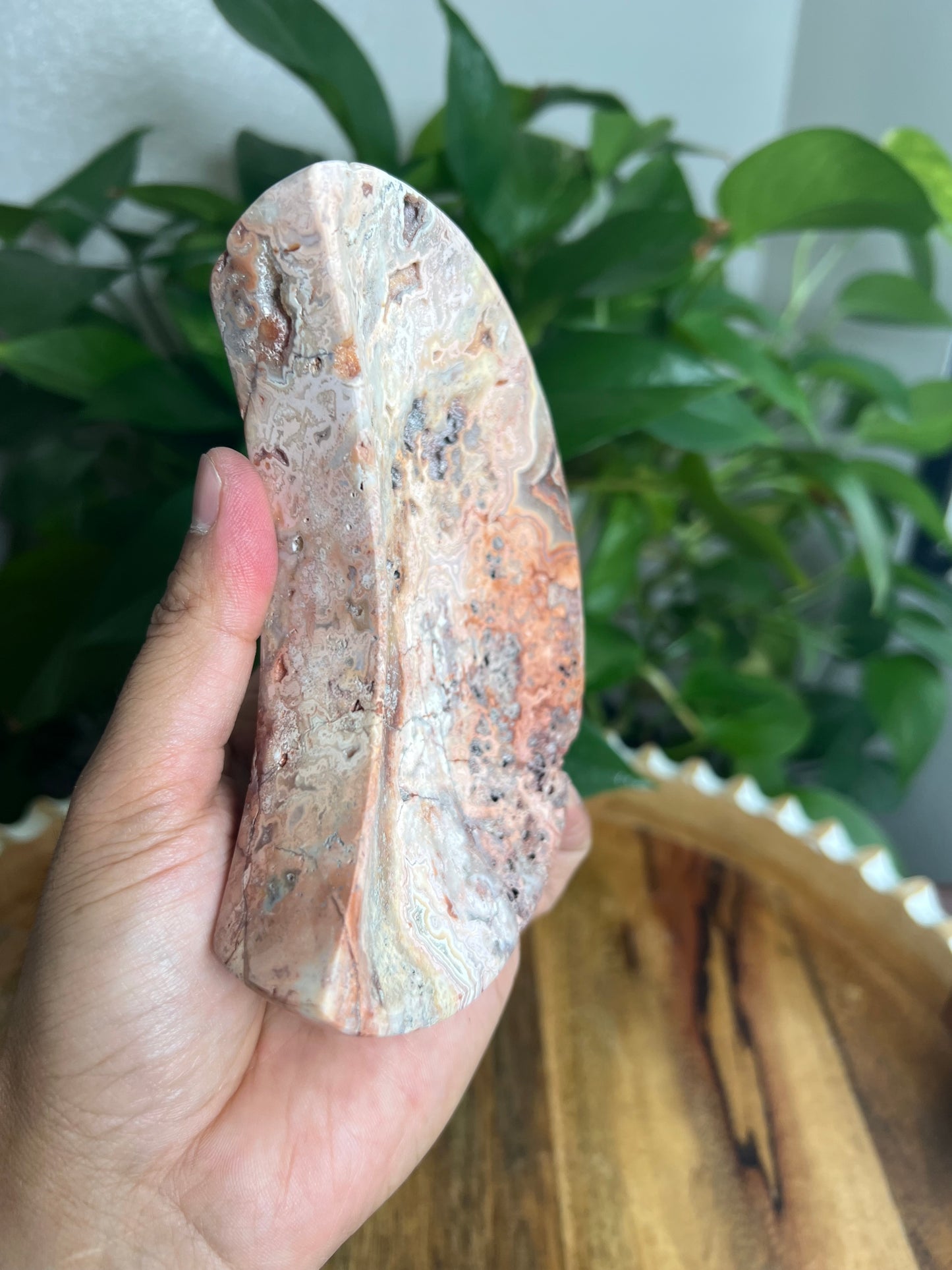 Crazy Lace Agate Moon Bowl: E