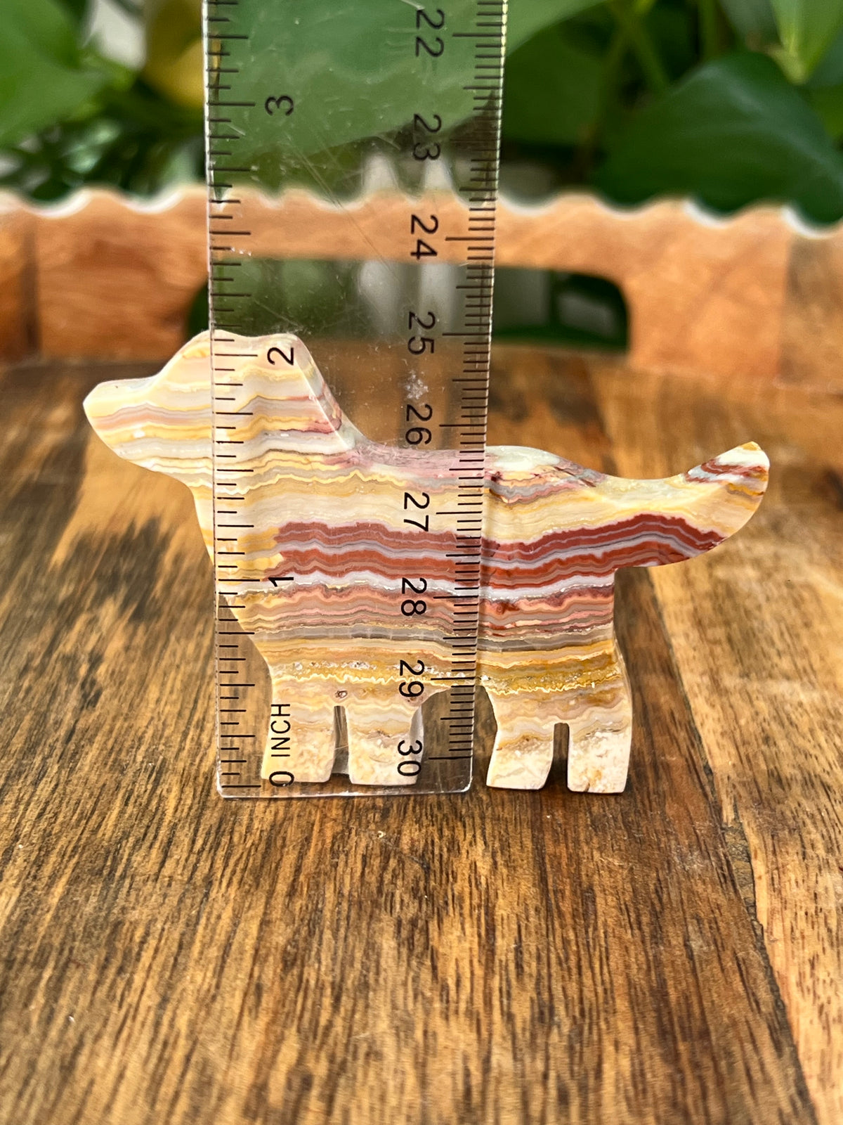Crazy Lace Agate Dogs