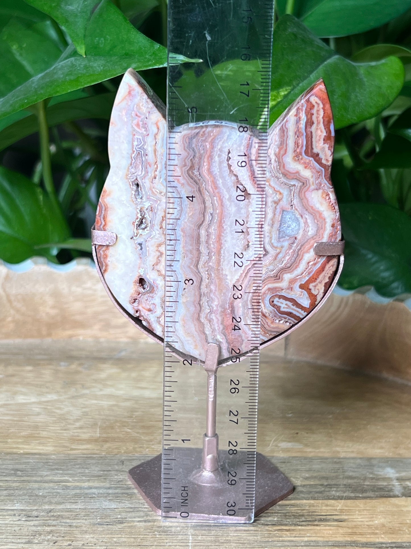 Crazy Lace Agate Cat Head