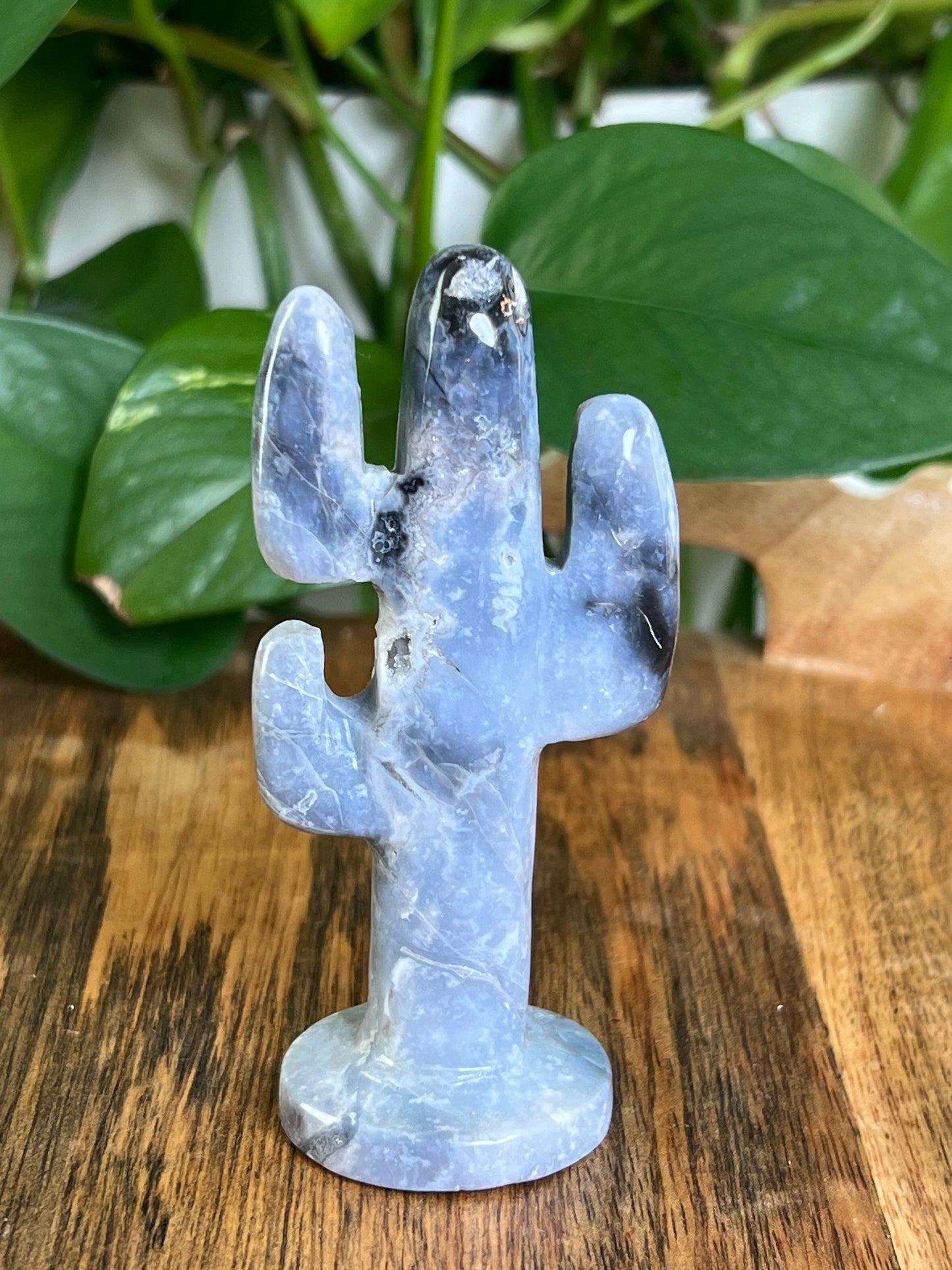 Blue Plume Agate Cactus: CB