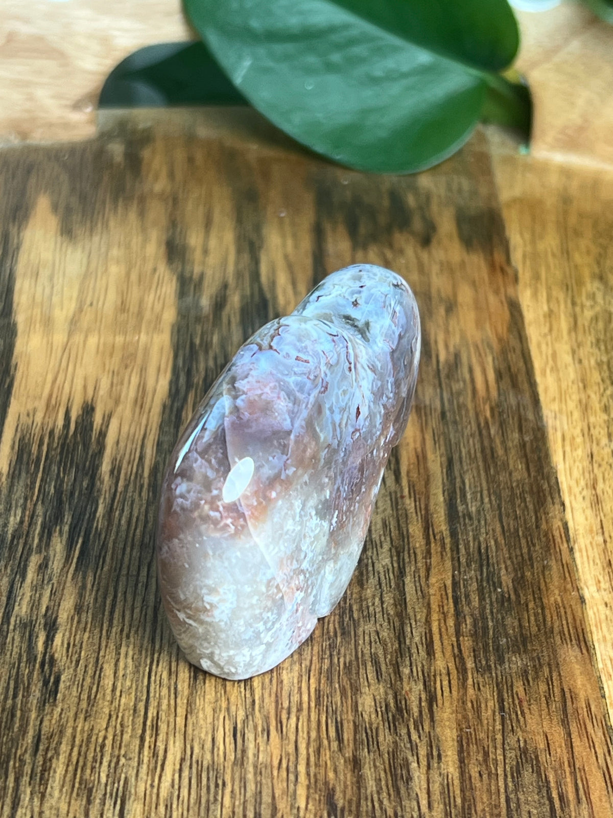 Sumatra Plume Agate Mini Buffalo: DB