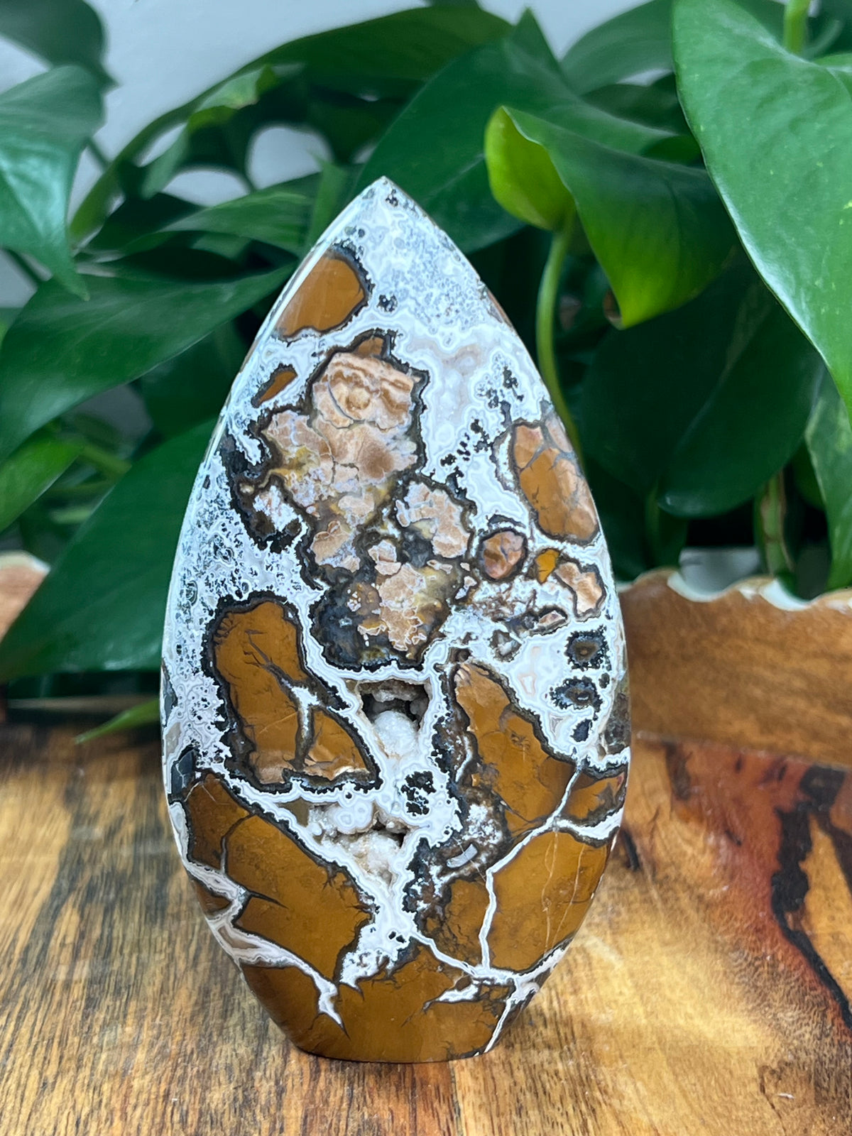 Brecciated Jasper Flame: EB