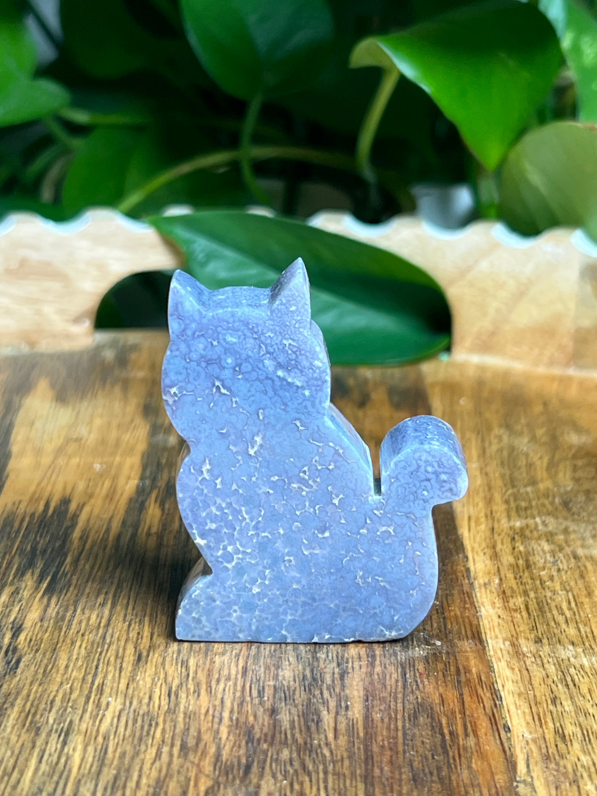 Grape Agate Mini Cat: Bi
