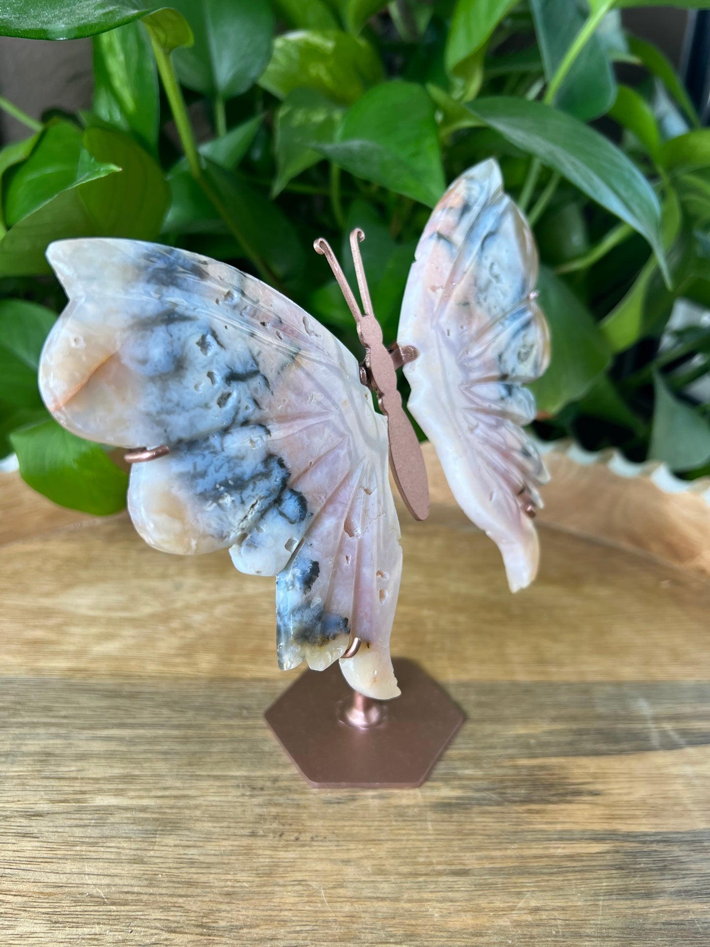 Rainbow Plume Agate Wings