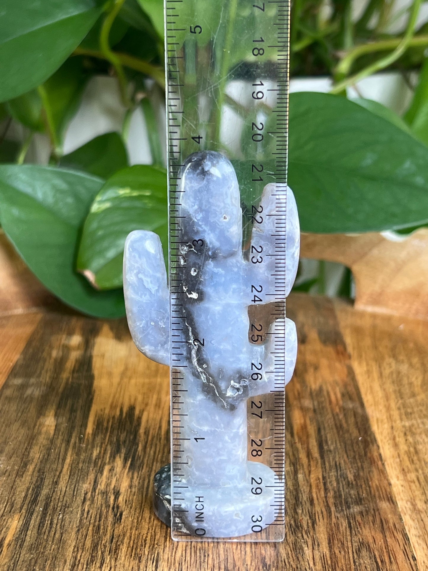 Blue Plume Agate Cactus: CA